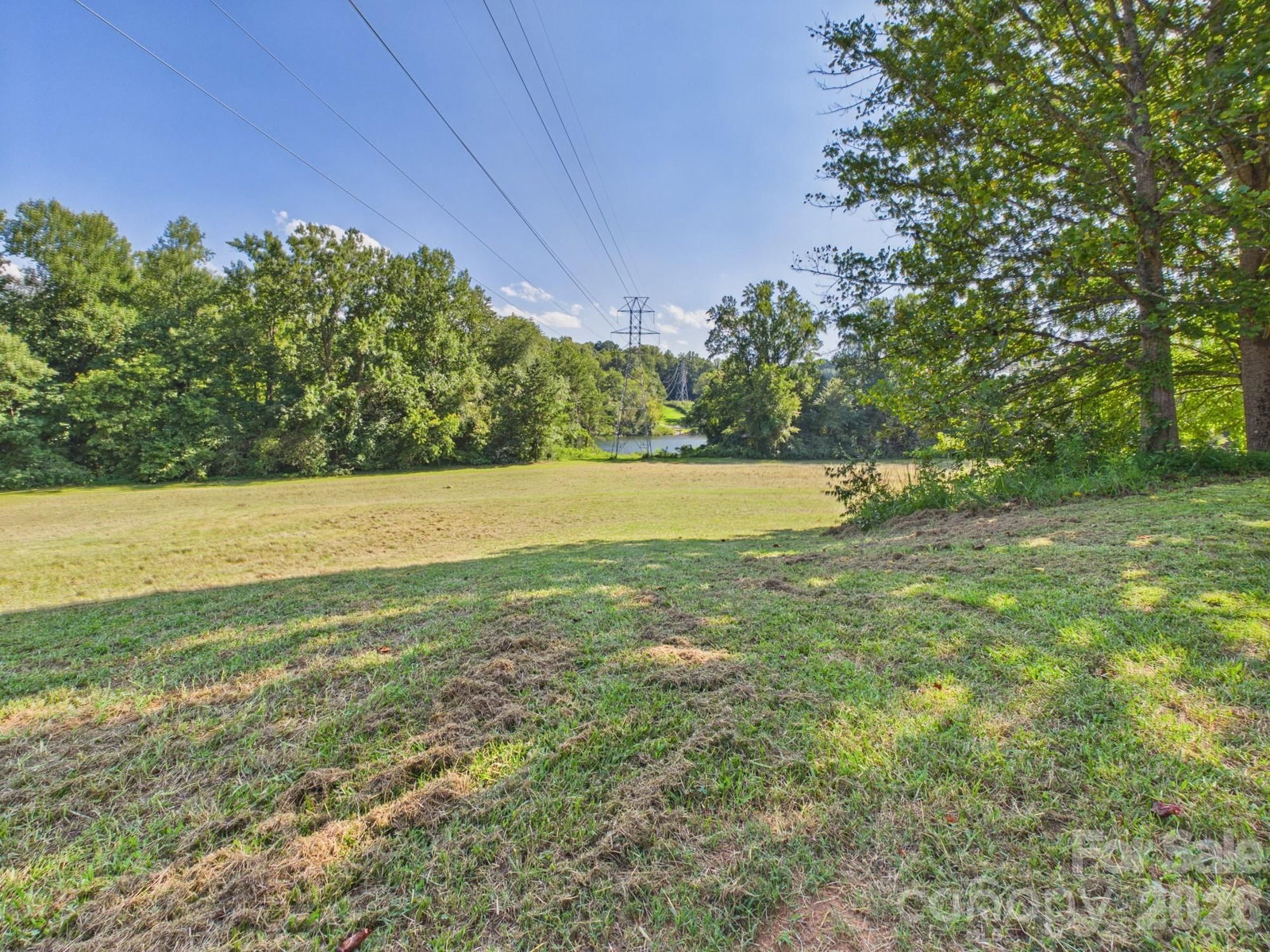 51 Fred Jolly Lane, Taylorsville, NC 28681 - Photo 5