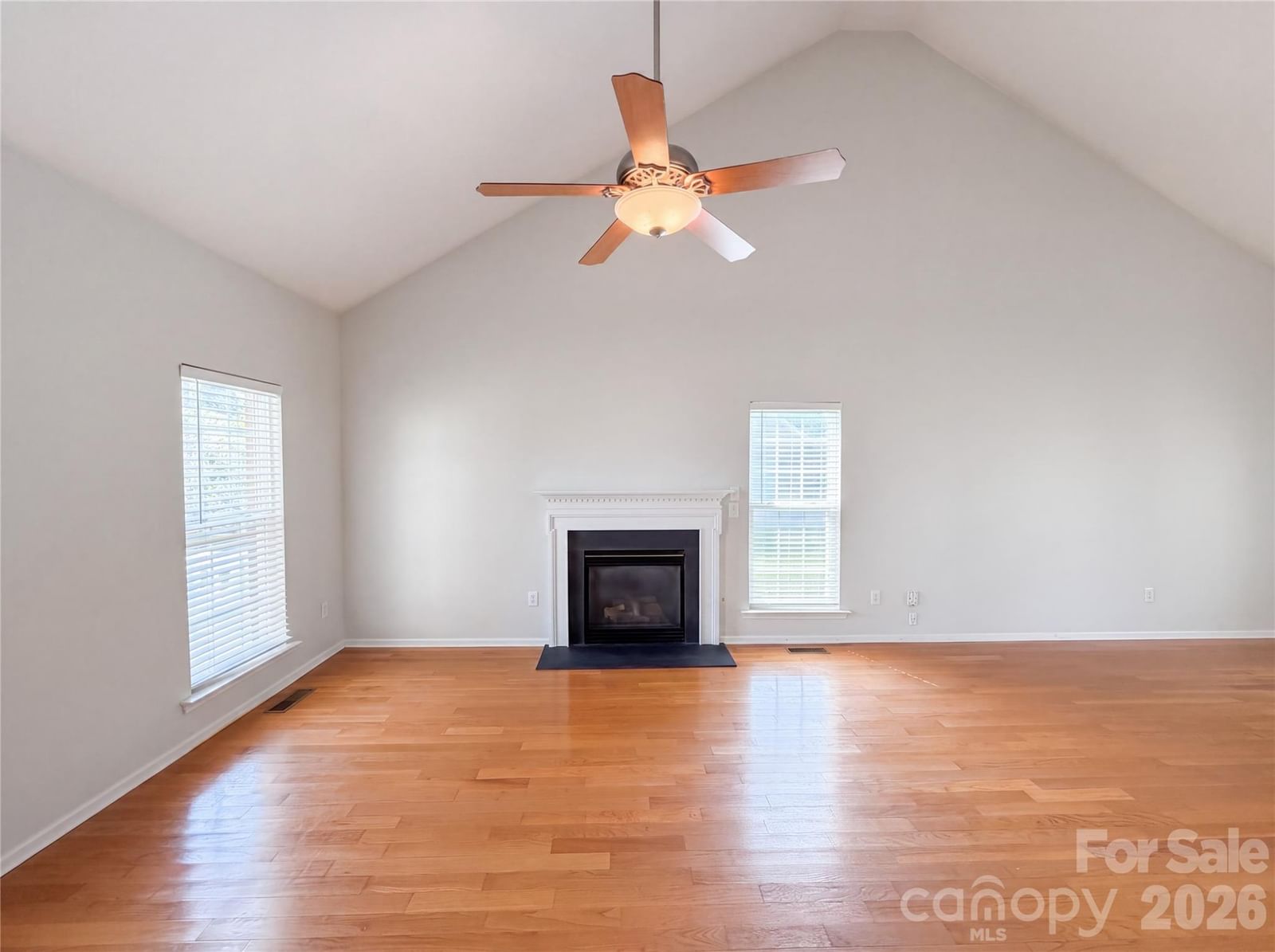 209 Silver Birch Lane, Mount Holly, NC 28120 - Photo 3