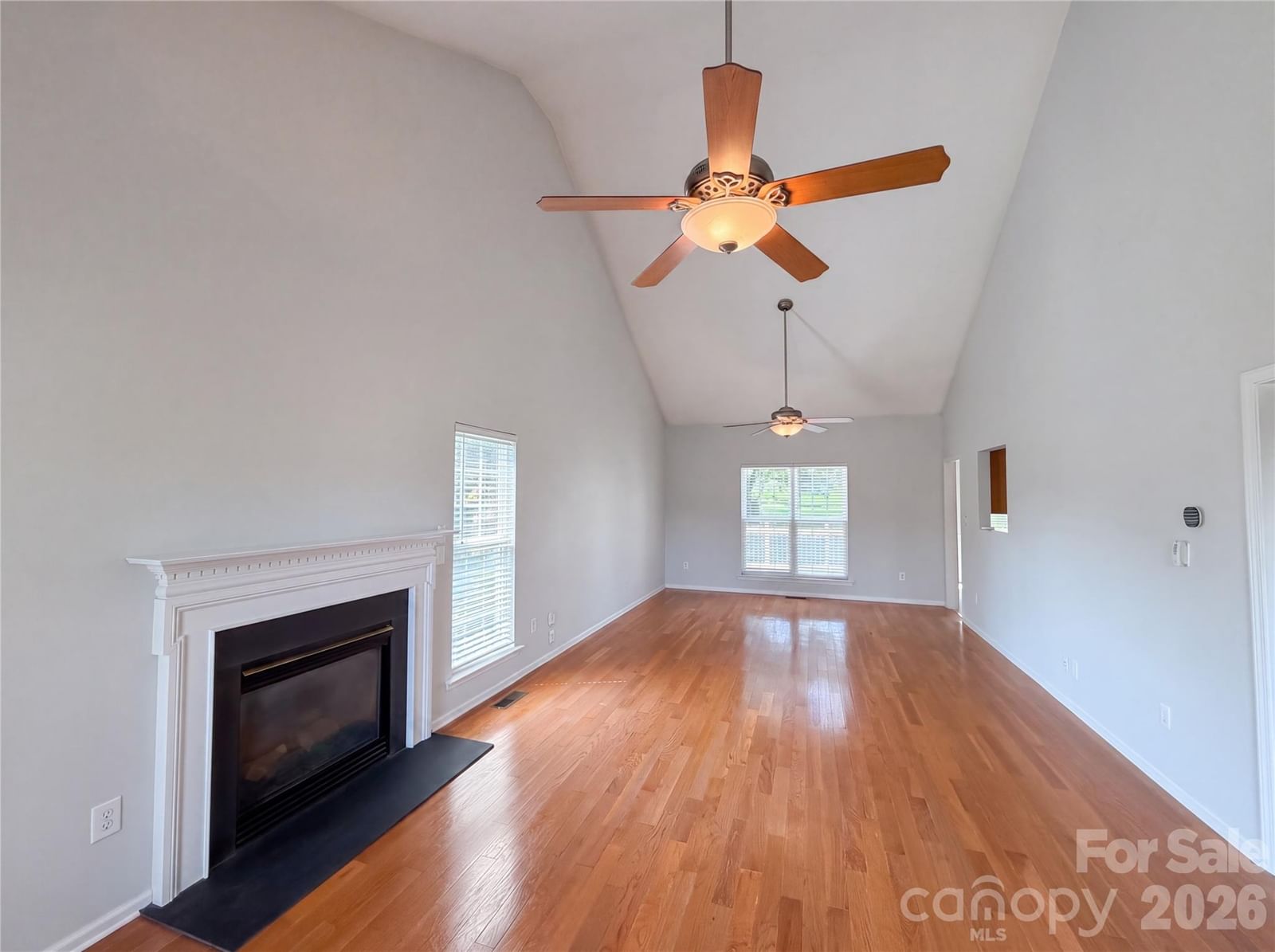 209 Silver Birch Lane, Mount Holly, NC 28120 - Photo 4