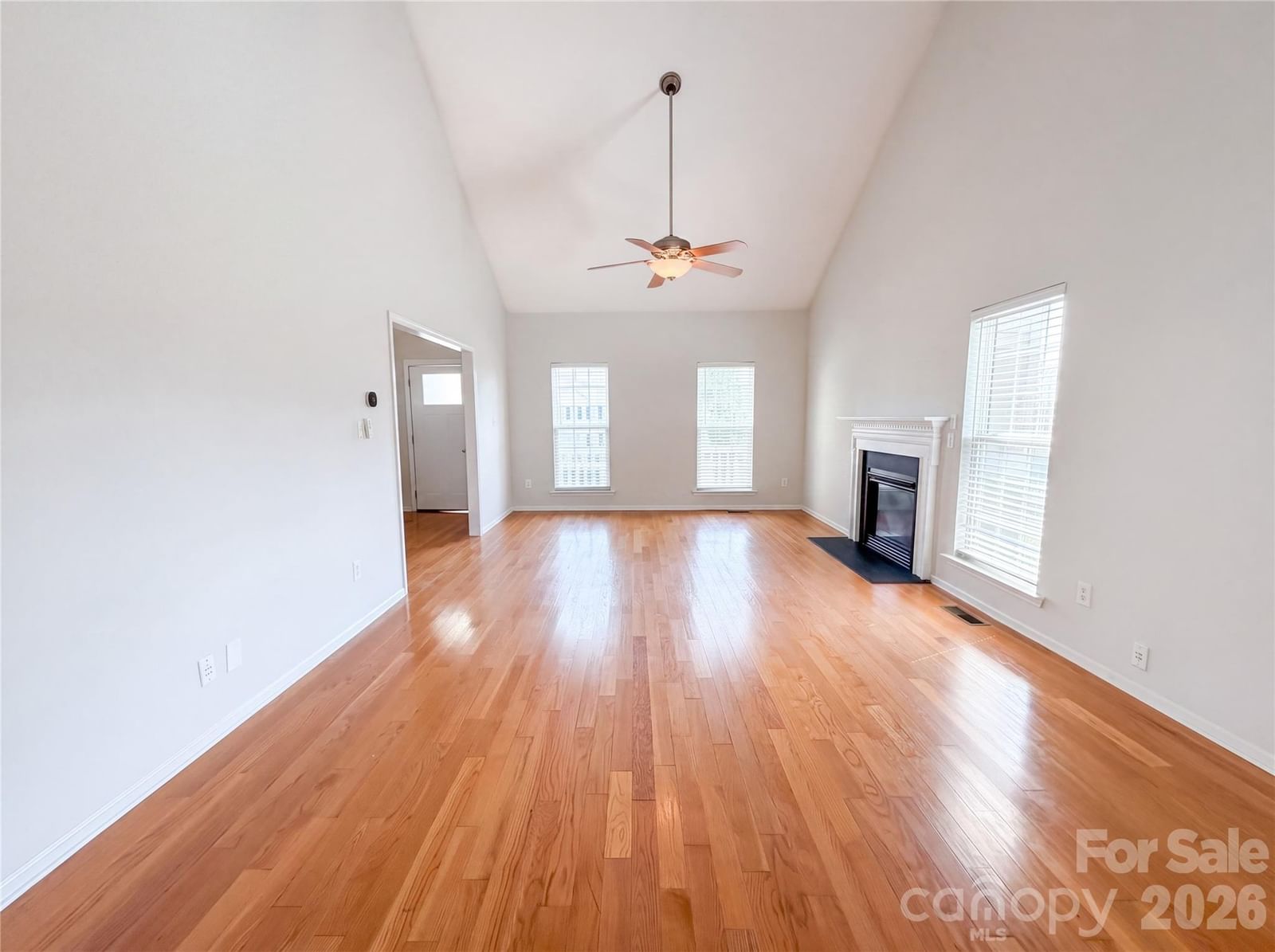 209 Silver Birch Lane, Mount Holly, NC 28120 - Photo 5