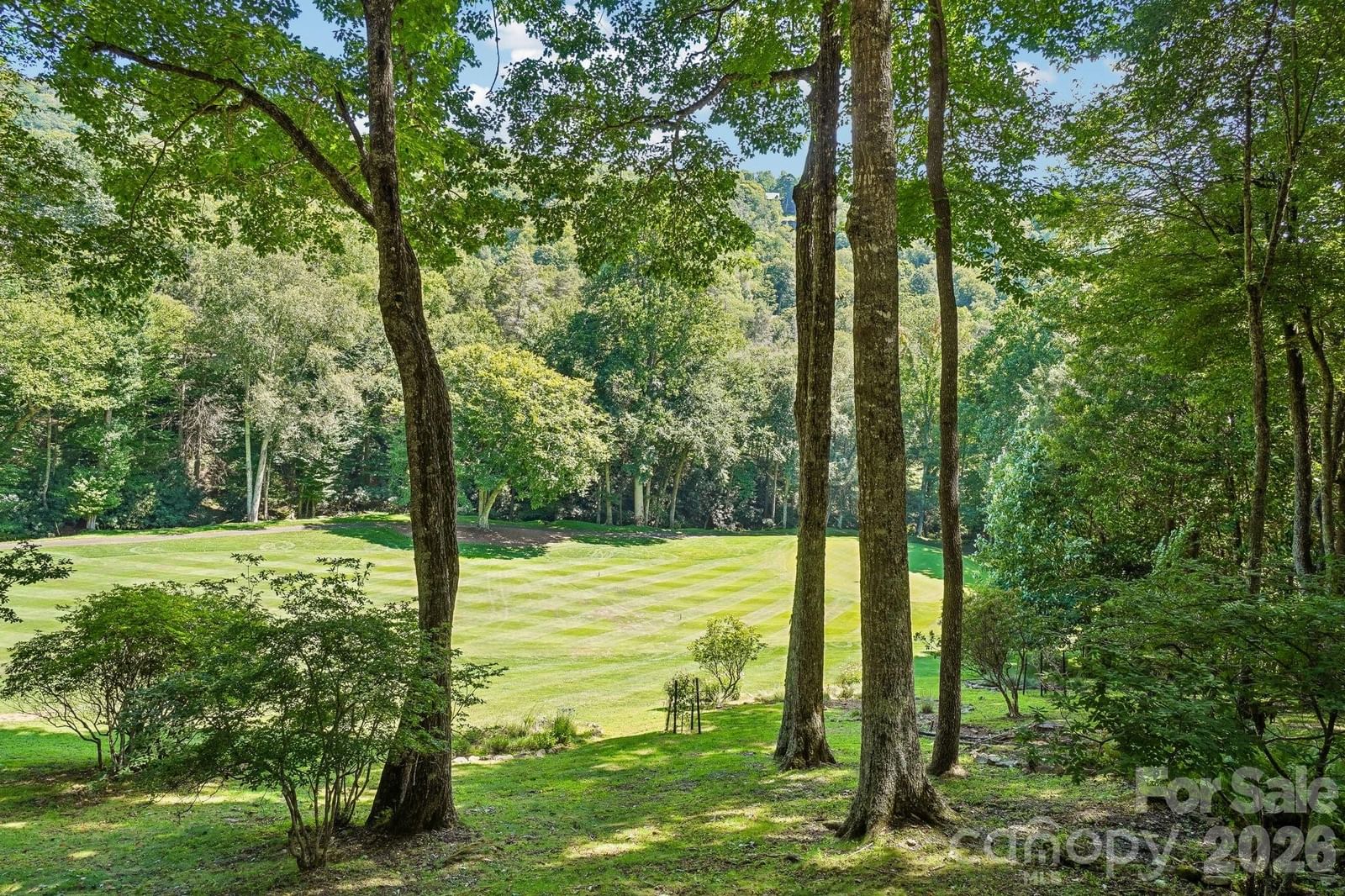 311 Wonderly Lane, Mars Hill, NC 28754 - Photo 2