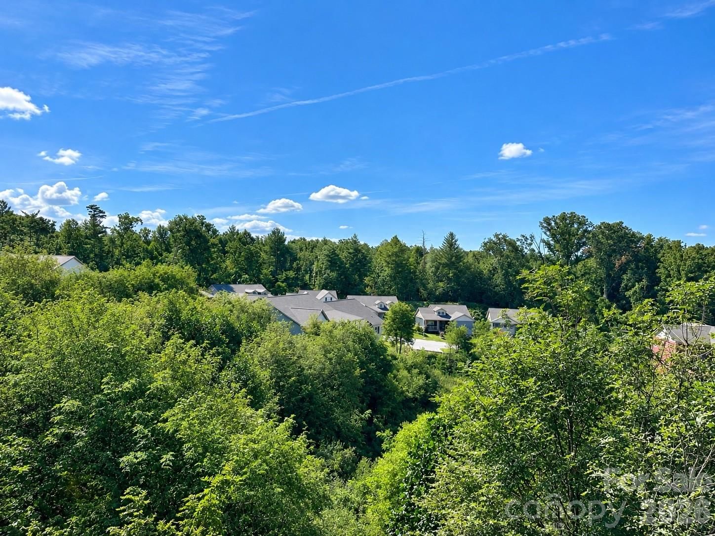 23 Sandstone Drive, Weaverville, NC 28787 - Photo 4