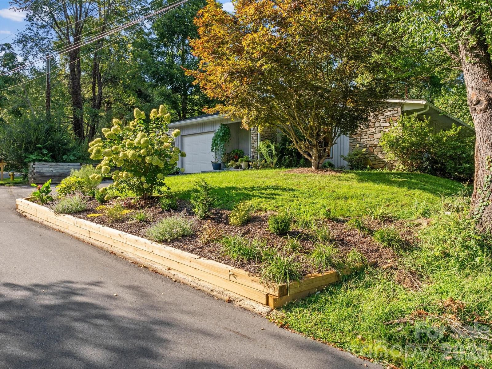 110 Aurora Drive, Asheville, NC 28805 - Photo 3