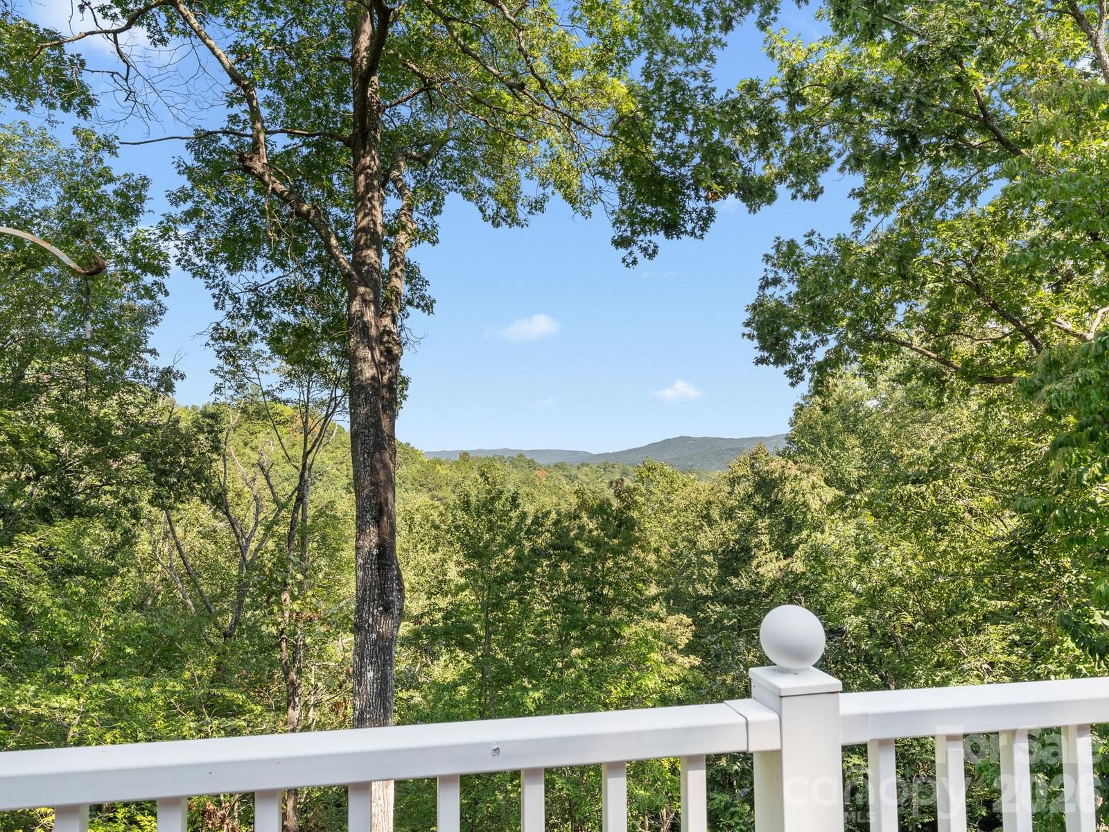1001 Stone Drive, Brevard, NC 28712 - Photo 3