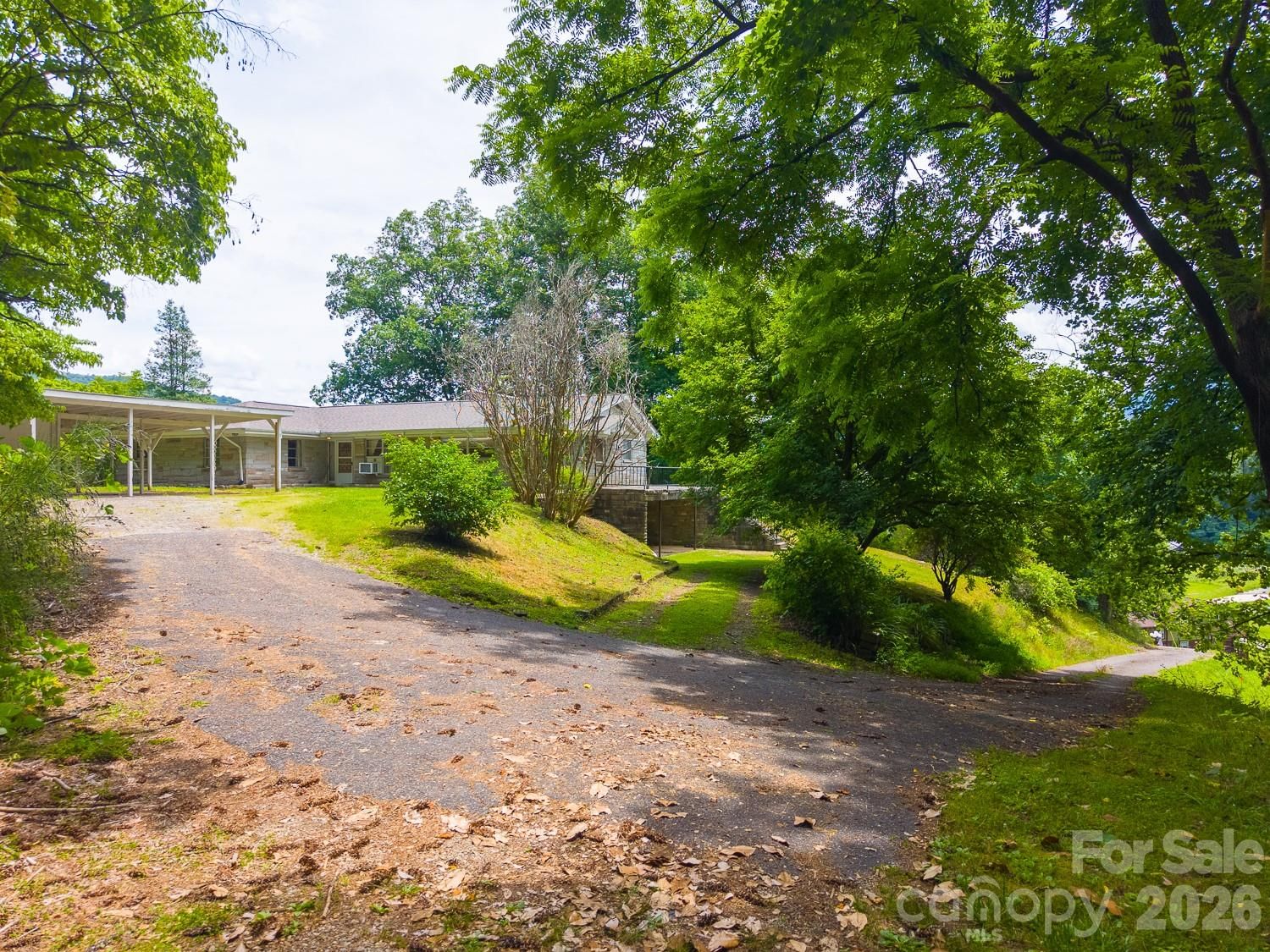222 Mitchell Mountain Road, Bryson City, NC 28713 - Photo 3