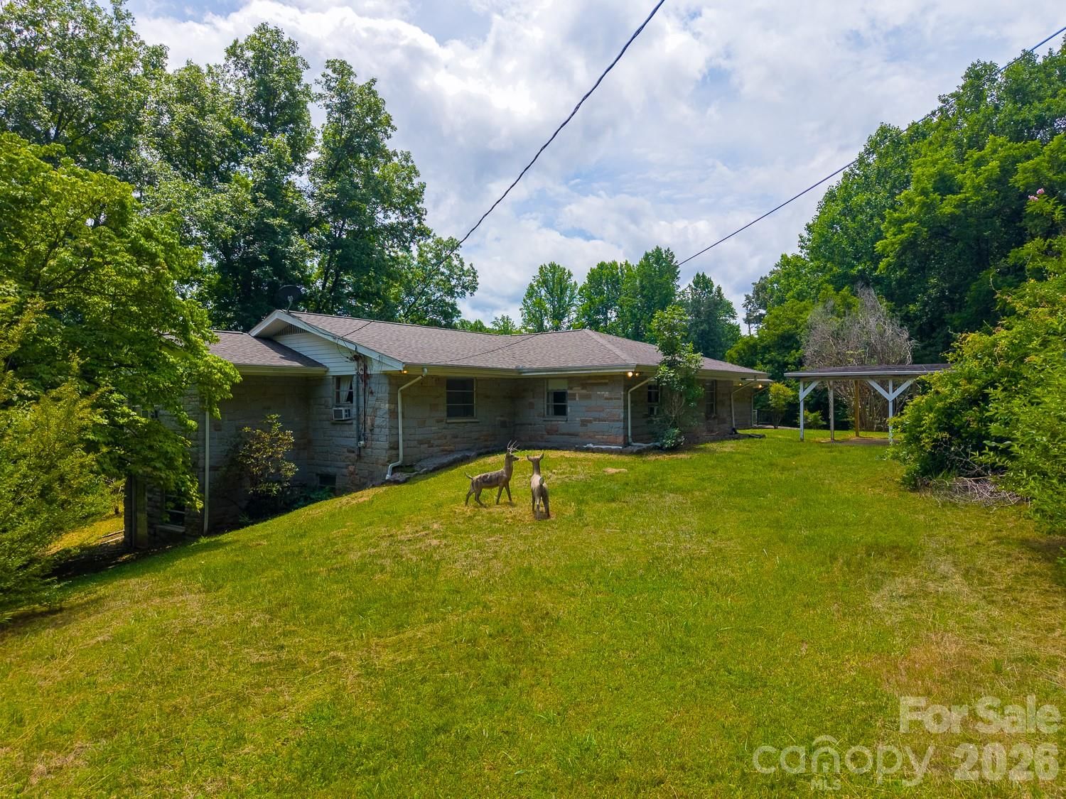 222 Mitchell Mountain Road, Bryson City, NC 28713 - Photo 4