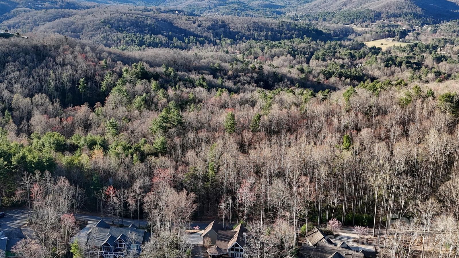 Lot 2 Tomahawk Trail #2, Hendersonville, NC 28739 - Photo 4
