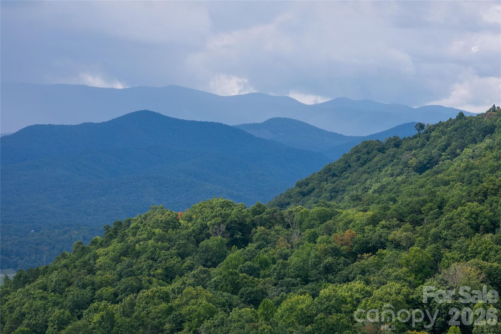 303 Wodigeasgohi Drive, Brevard, NC 28712 - Photo 5