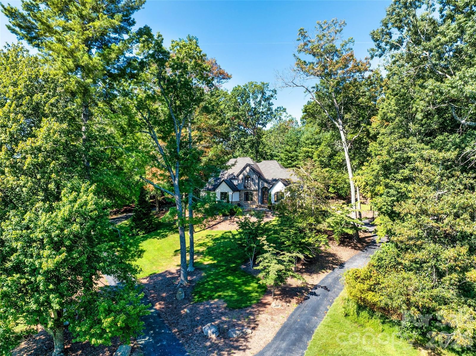 643 Mill Ridge Drive, Mills River, NC 28759 - Photo 2