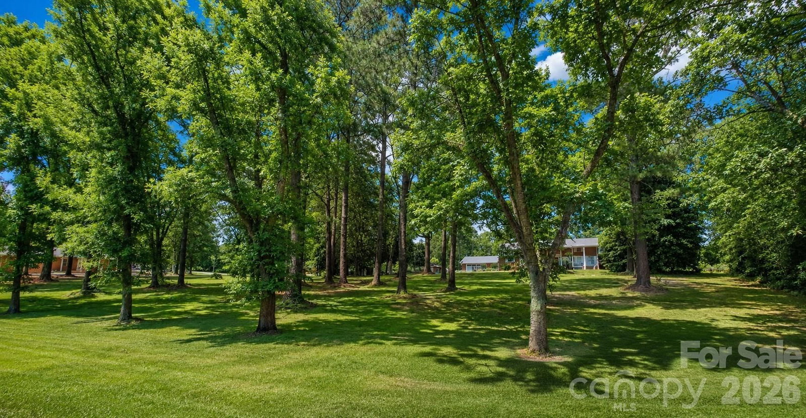 201 Main Street, Mount Gilead, NC 27306 - Photo 4
