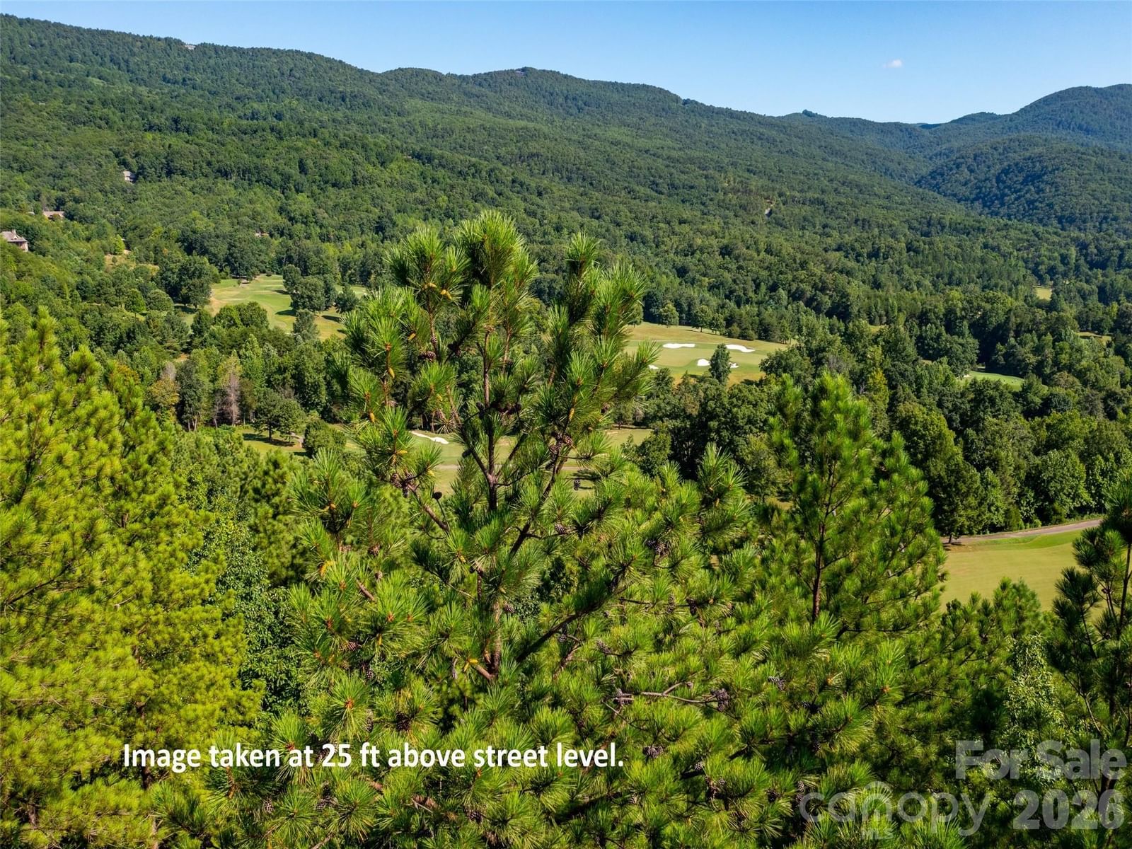 2026 Deep Gap Farm Road, Mill Spring, NC 28756 - Photo 2