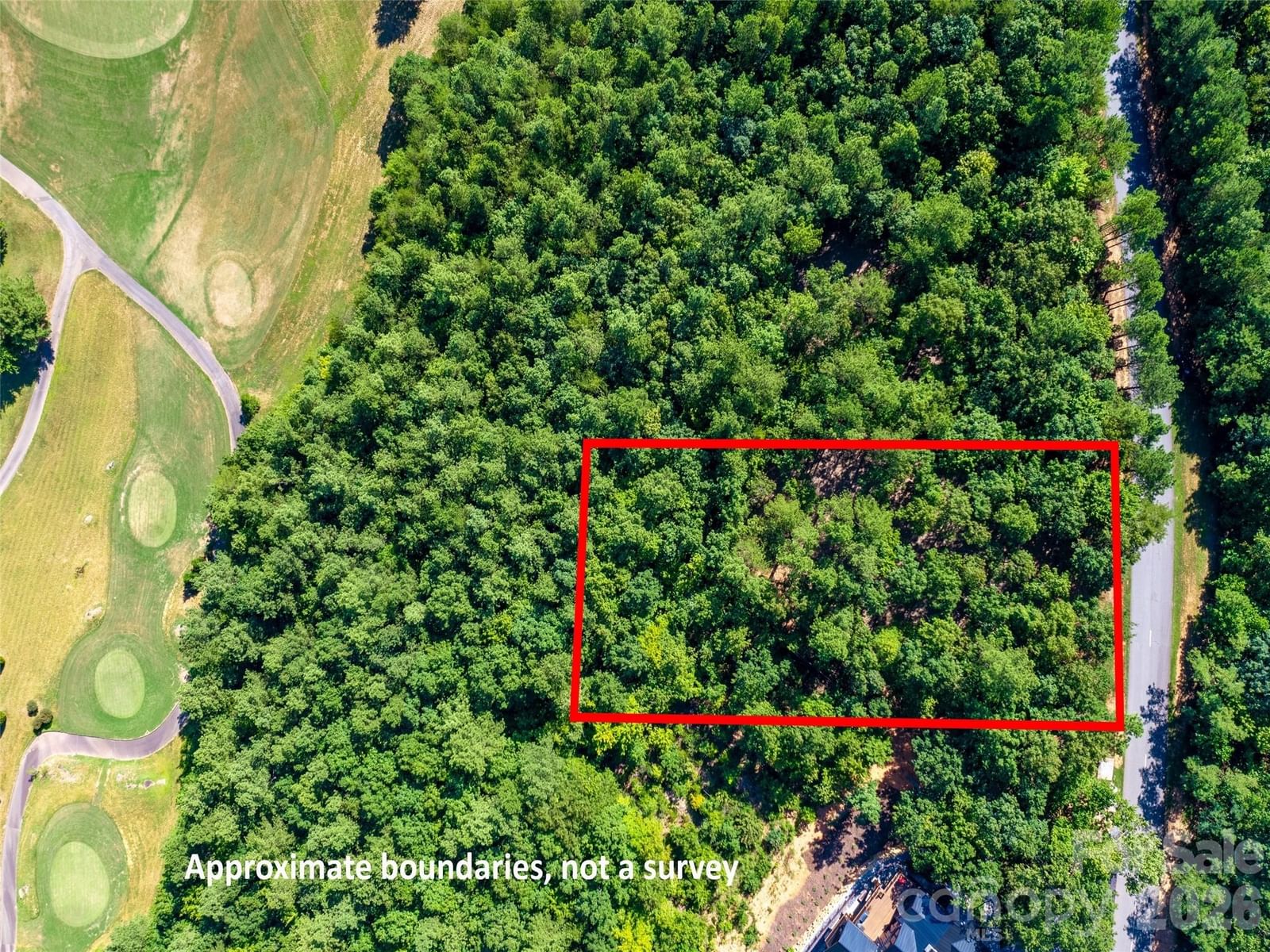 2026 Deep Gap Farm Road, Mill Spring, NC 28756 - Photo 3