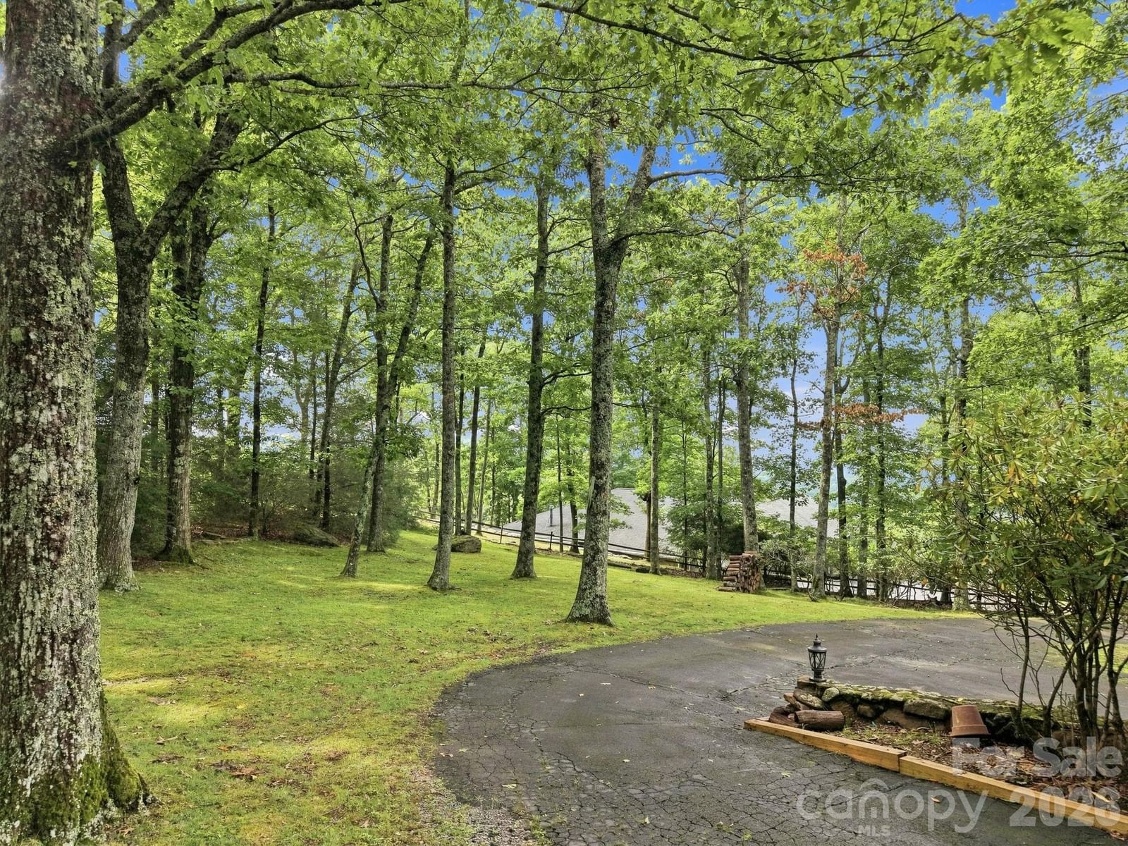 765 Oak Ridge Drive, Boone, NC 28607 - Photo 4
