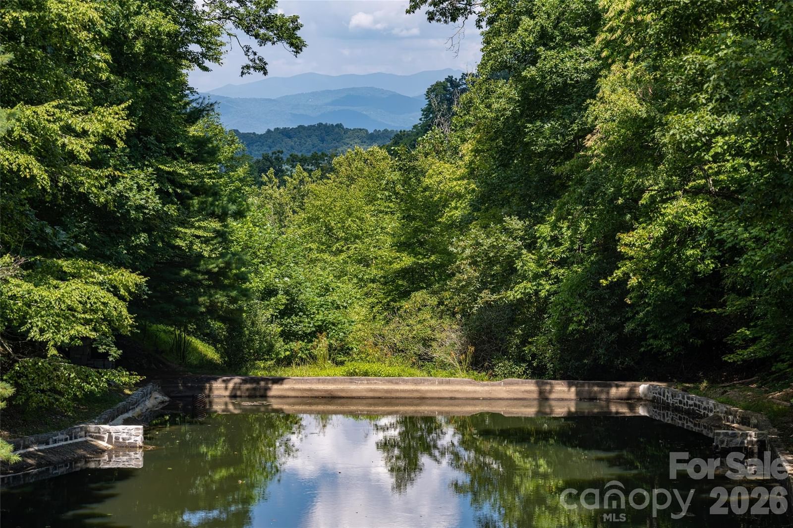 3999 Laurel Park Highway, Hendersonville, NC 28739 - Photo 4