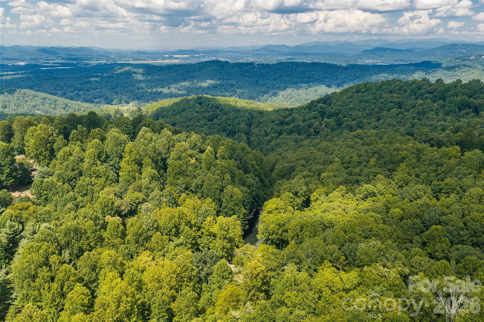 3999 Laurel Park Highway, Hendersonville, NC 28739 - Photo 3