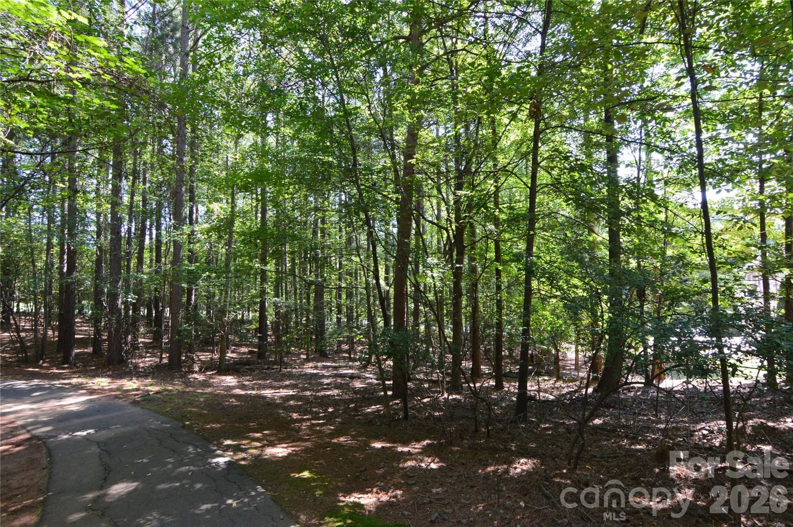 3009 Ashwood Park Drive #271, Belmont, NC 28012 - Photo 5