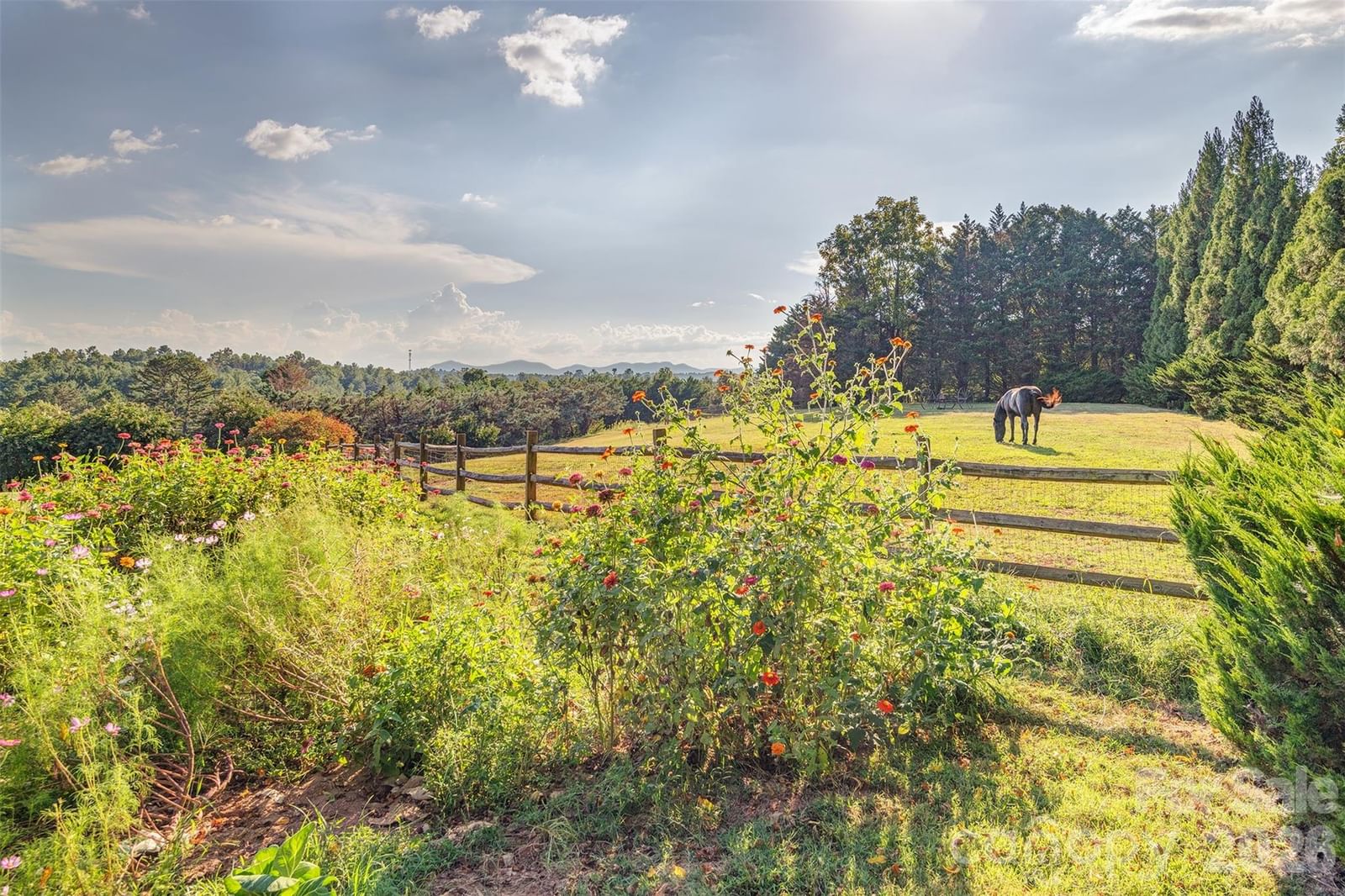 64 Greenridge Road, Weaverville, NC 28787 - Photo 3