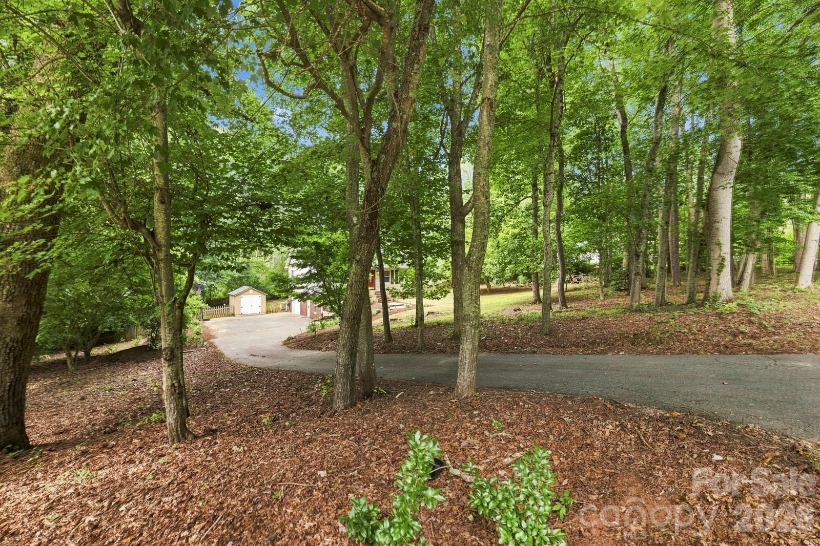 505 Pole Creasman Road, Asheville, NC 28806 - Photo 5