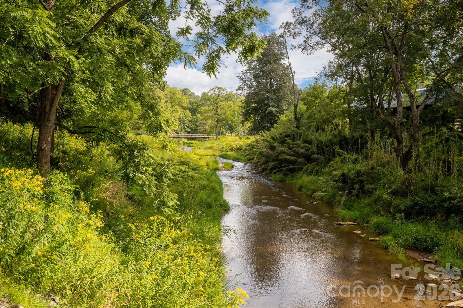 947 Hwy 226 Highway, Bakersville, NC 28705 - Photo 4