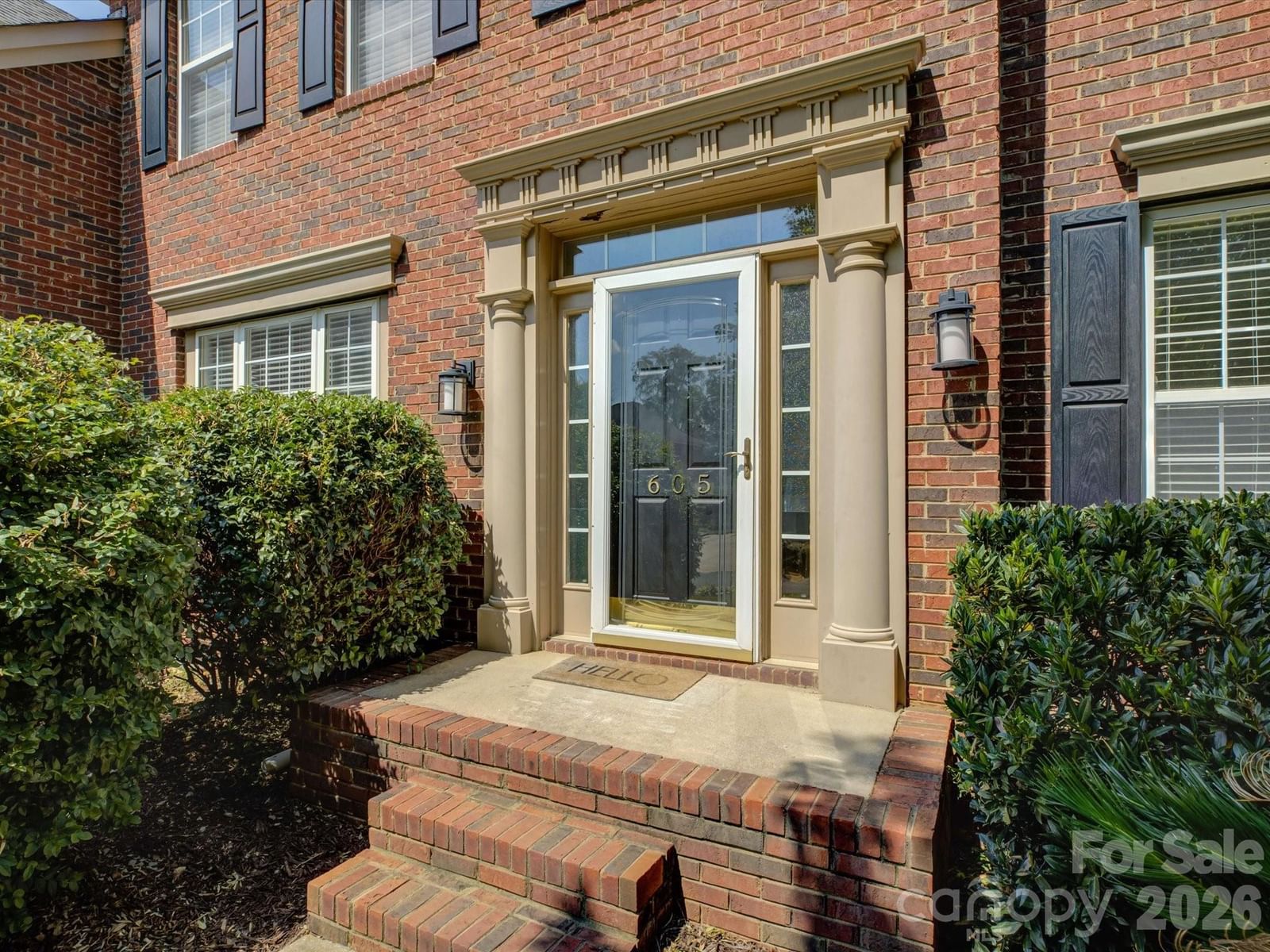 605 Queenswater Lane, Waxhaw, NC 28173 - Photo 2