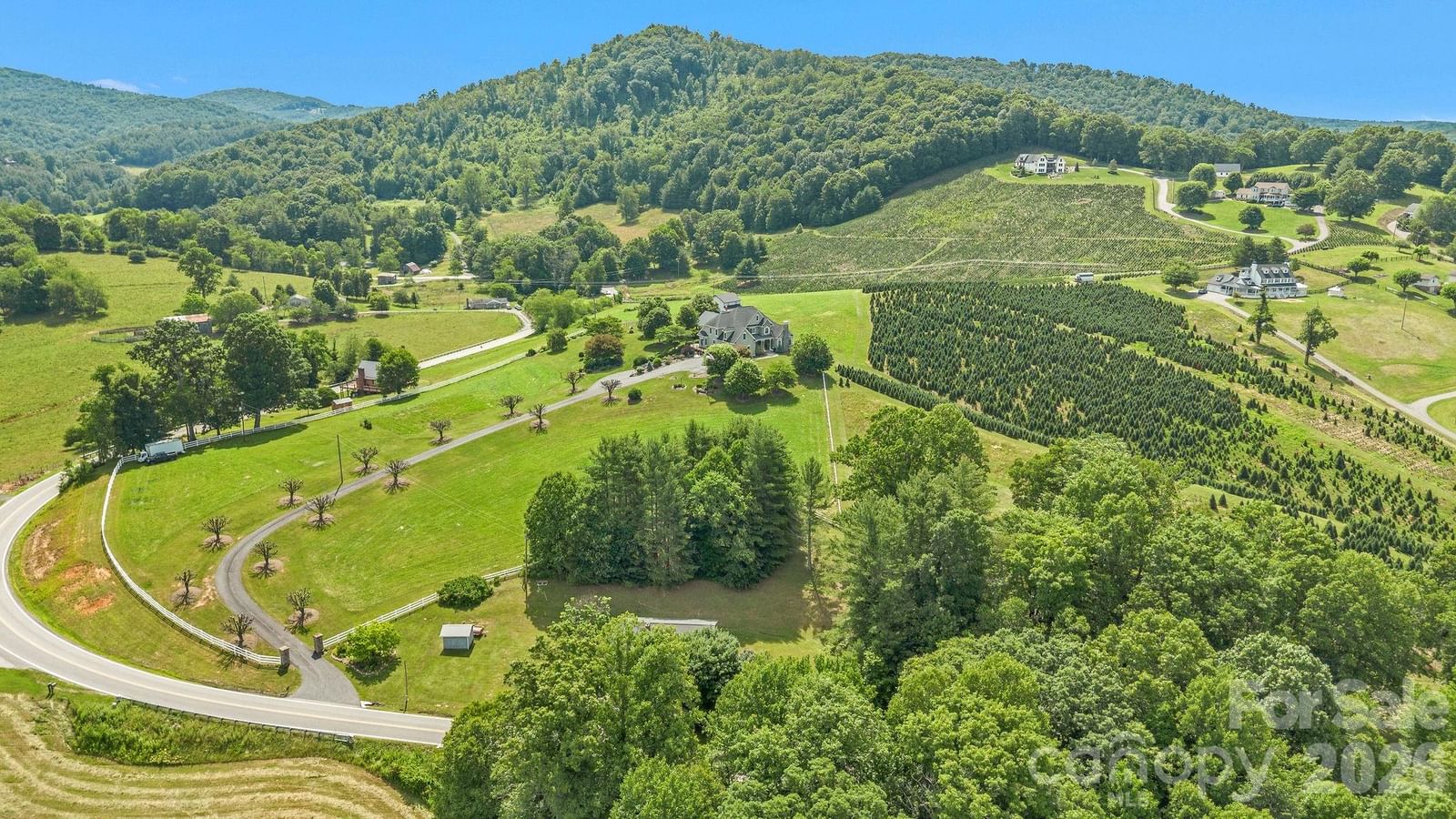 450 NC Hwy 88 None, Jefferson, NC 28640 - Photo 5