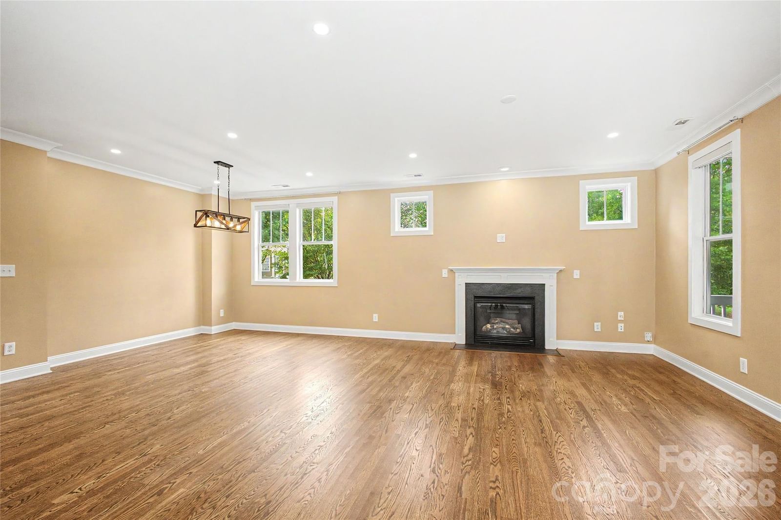 10020 Vanguard Parkway, Huntersville, NC 28078 - Photo 3