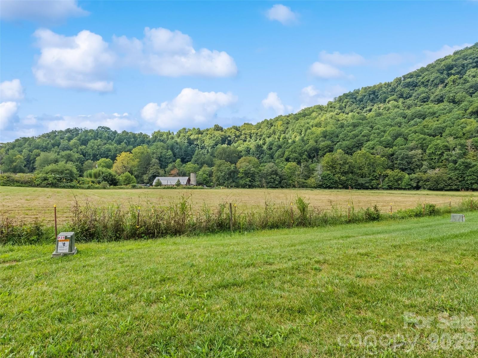 31 Clear Creek Lane, Waynesville, NC 28785 - Photo 5