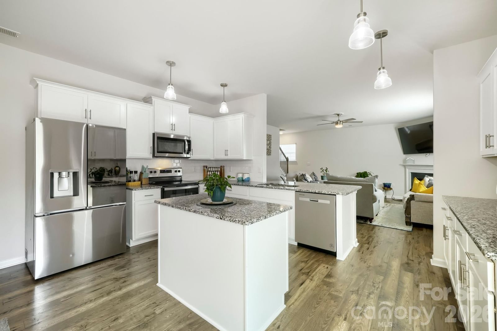 226 Autumn Sage Drive, Locust, NC 28097 - Photo 5