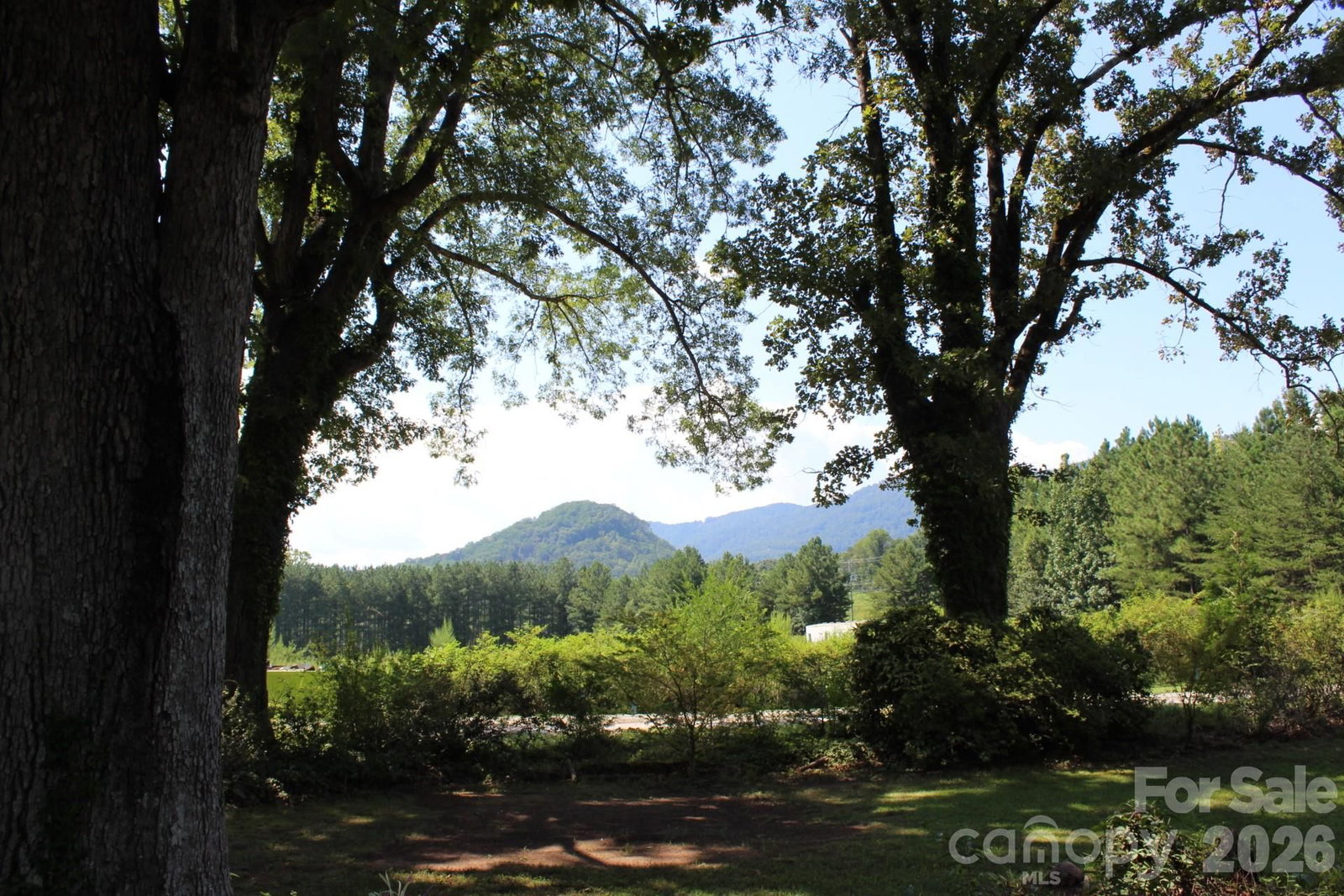 70 Fox Mountain Road, Columbus, NC 28722 - Photo 3