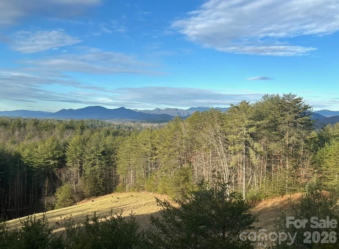 2775 Campbells Trace, Nebo, NC 28761 - Photo 4
