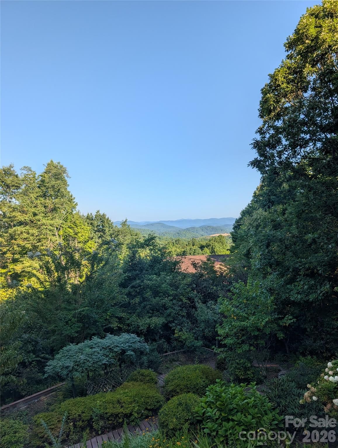29 Panther Ridge Road, Brevard, NC 28712 - Photo 2