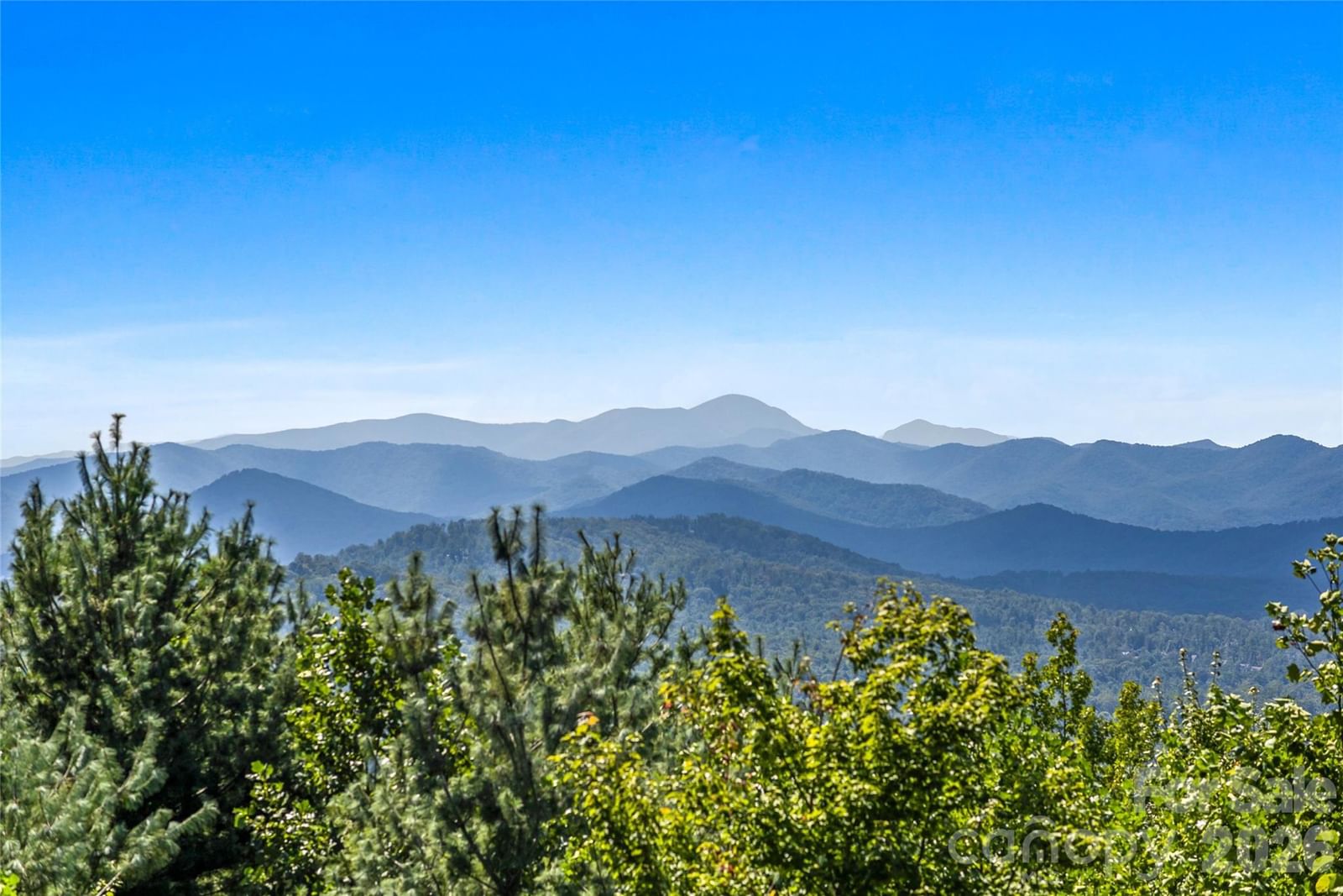 99 Distant View Drive #99, Asheville, NC 28803 - Photo 2