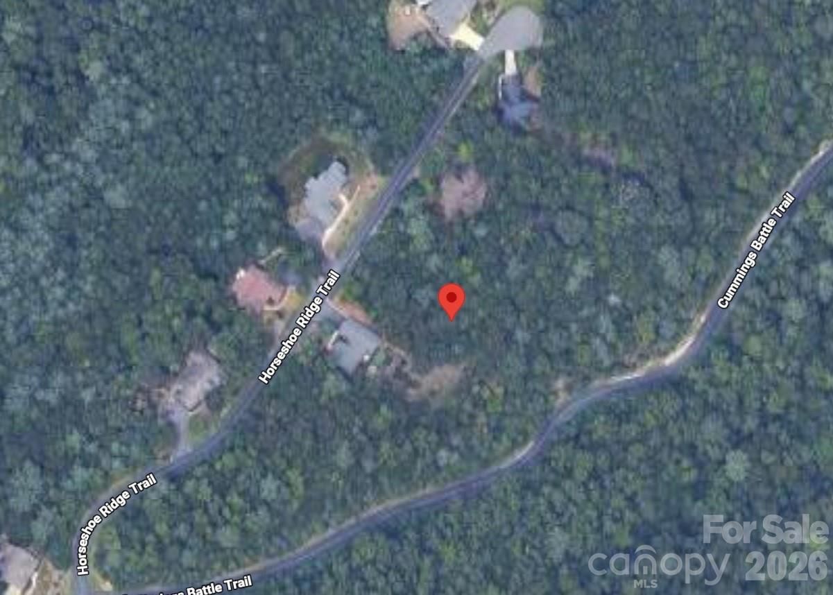 Lot 117 Horse Shoe Ridge Trail #117, Hendersonville, NC 28792 - Photo 2