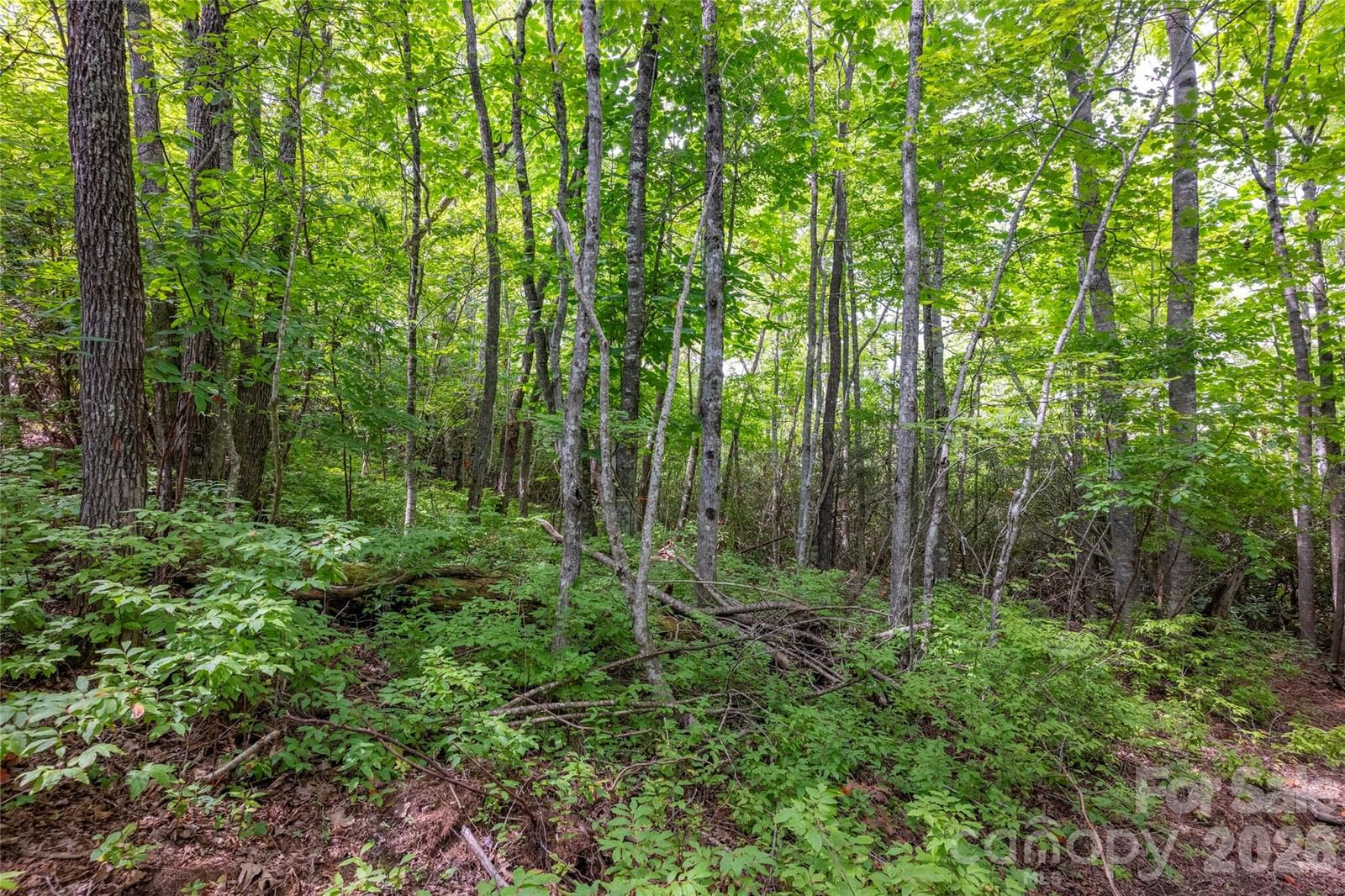 916 Meadow Ridge Drive, Lake Toxaway, NC 28747 - Photo 5