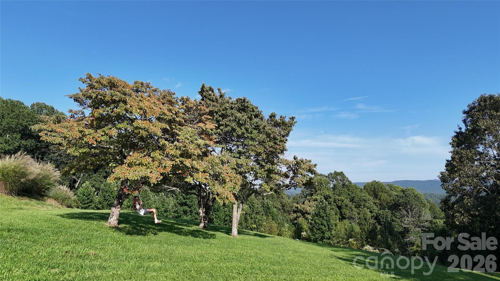 93 Orchard Hill, Saluda, NC 28773 - Photo 4