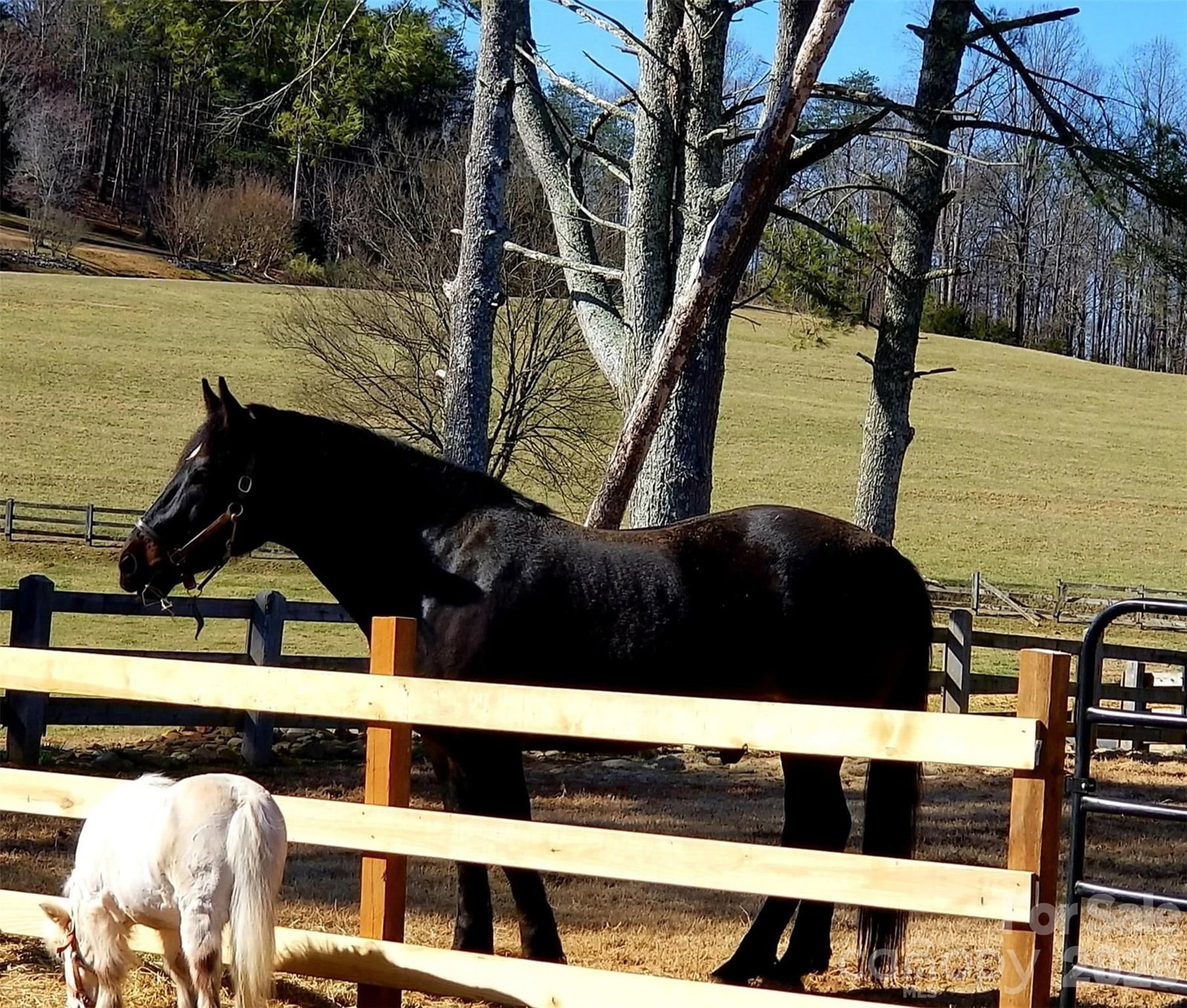 203 Victory Pass Lane, Rutherfordton, NC 28139 - Photo 4