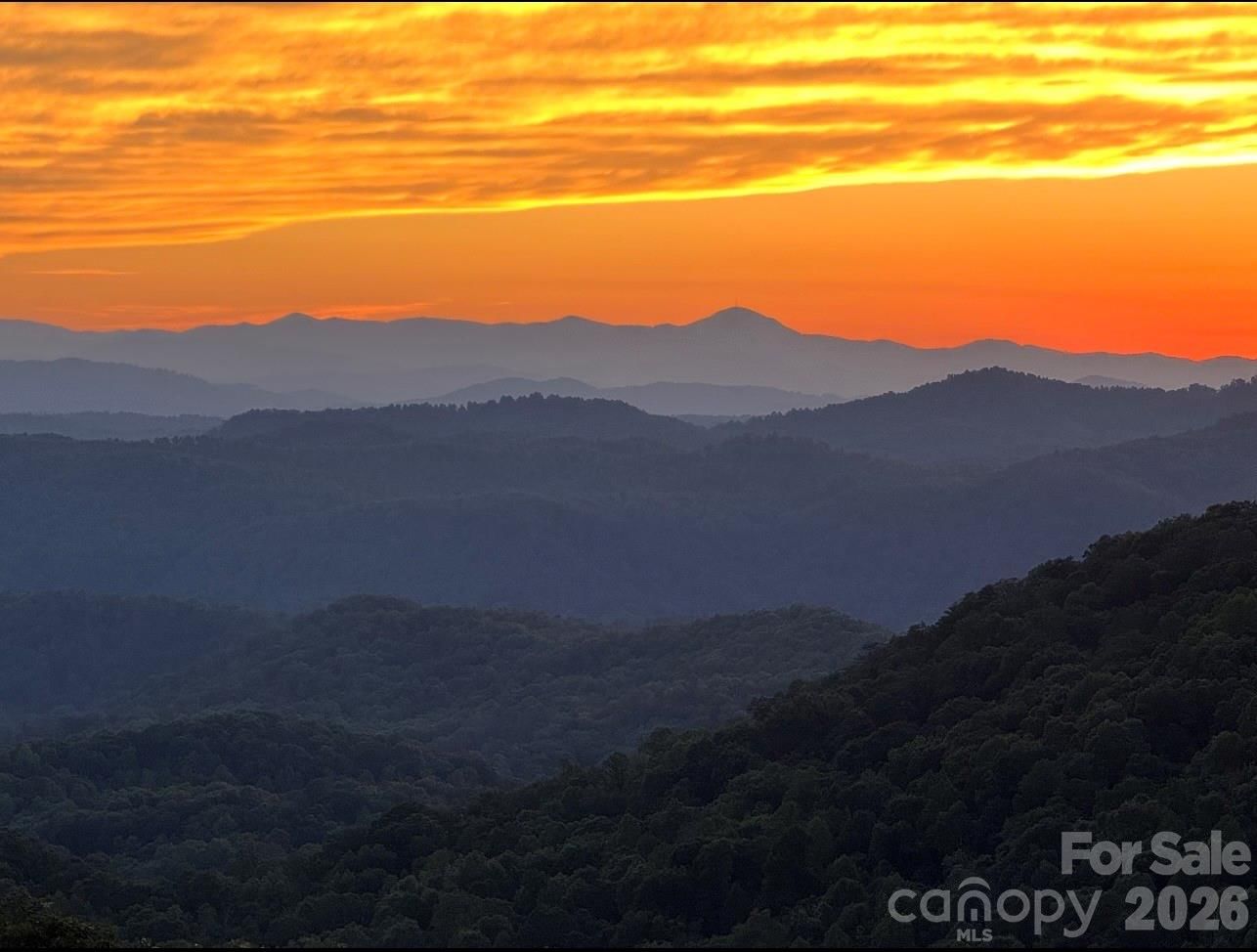 2107 Miller Mountain Road, Saluda, NC 28773 - Photo 3
