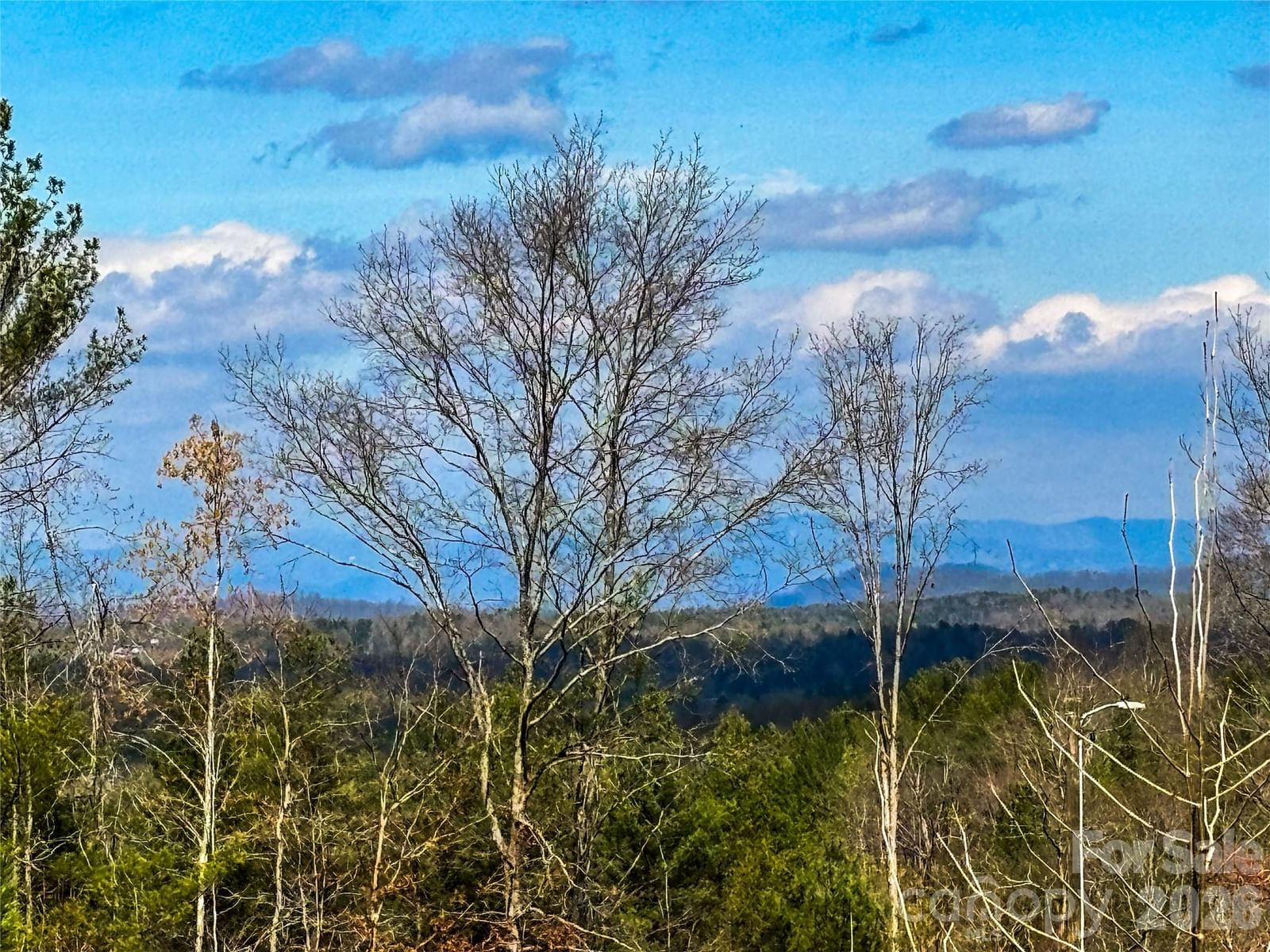 4277 Chinquapin Circle, Lenoir, NC 28645 - Photo 2