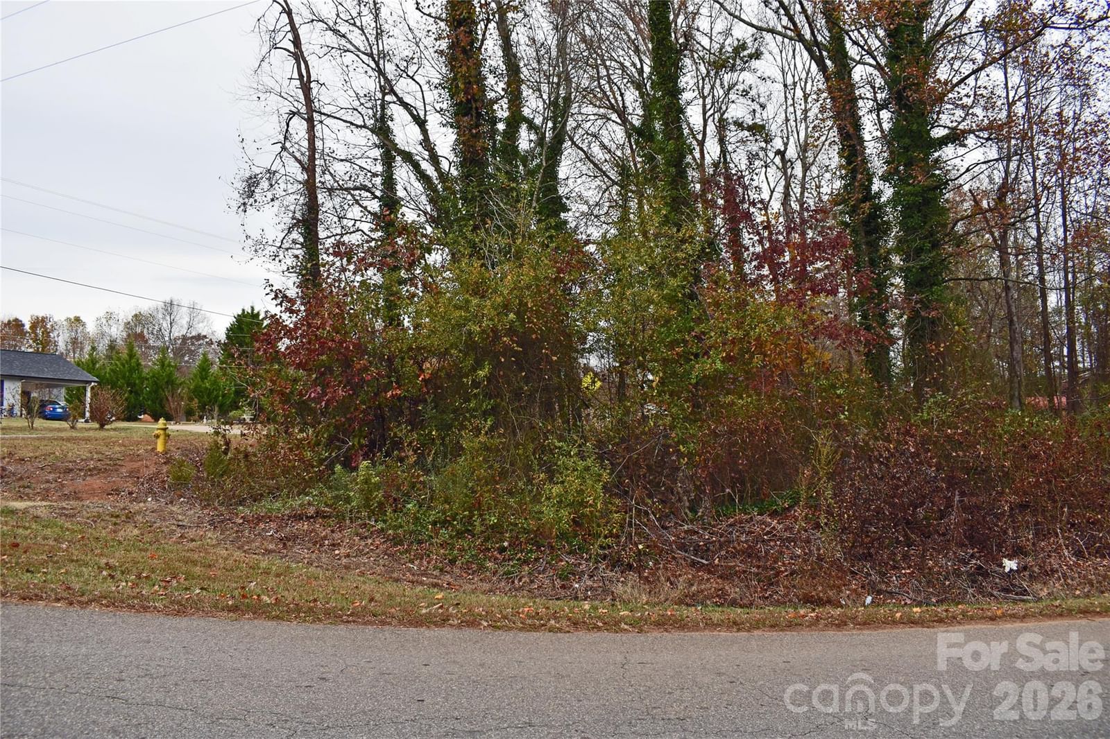 Property at 00 Horseshoe Lake Road, Lincolnton, NC 28092