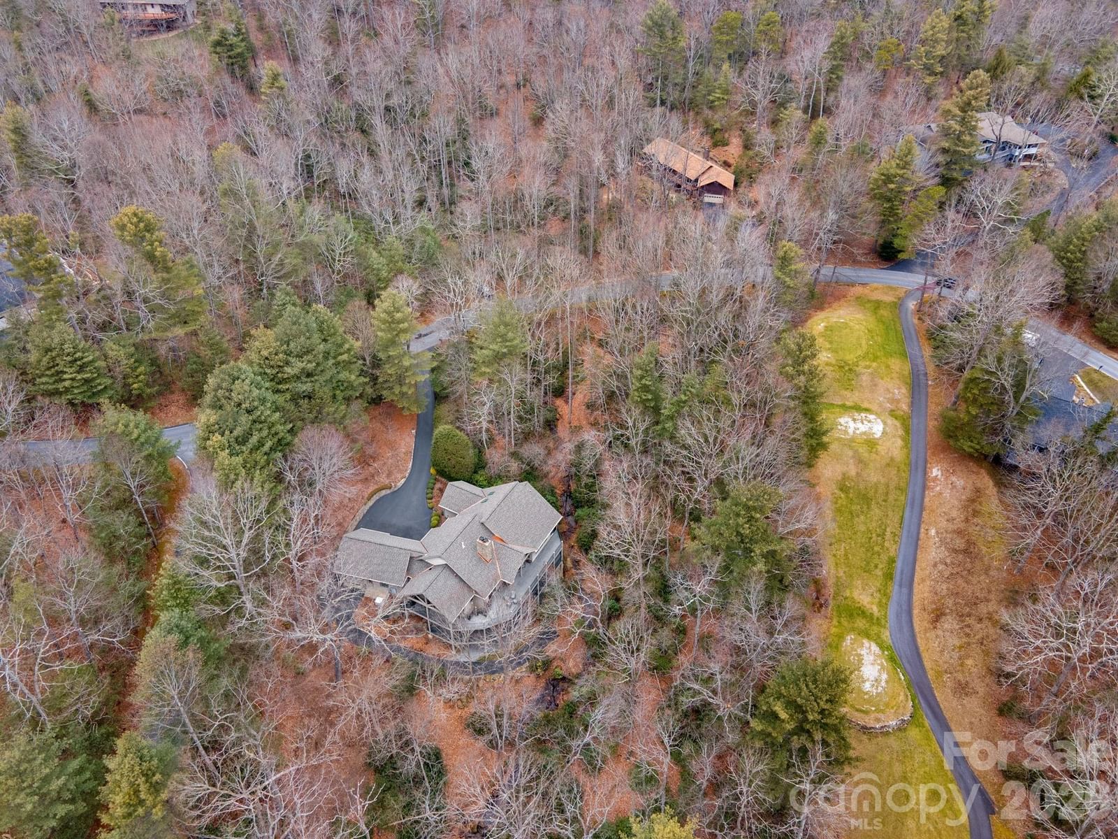 175 Overlook Drive, Flat Rock, NC 28731 - Photo 5