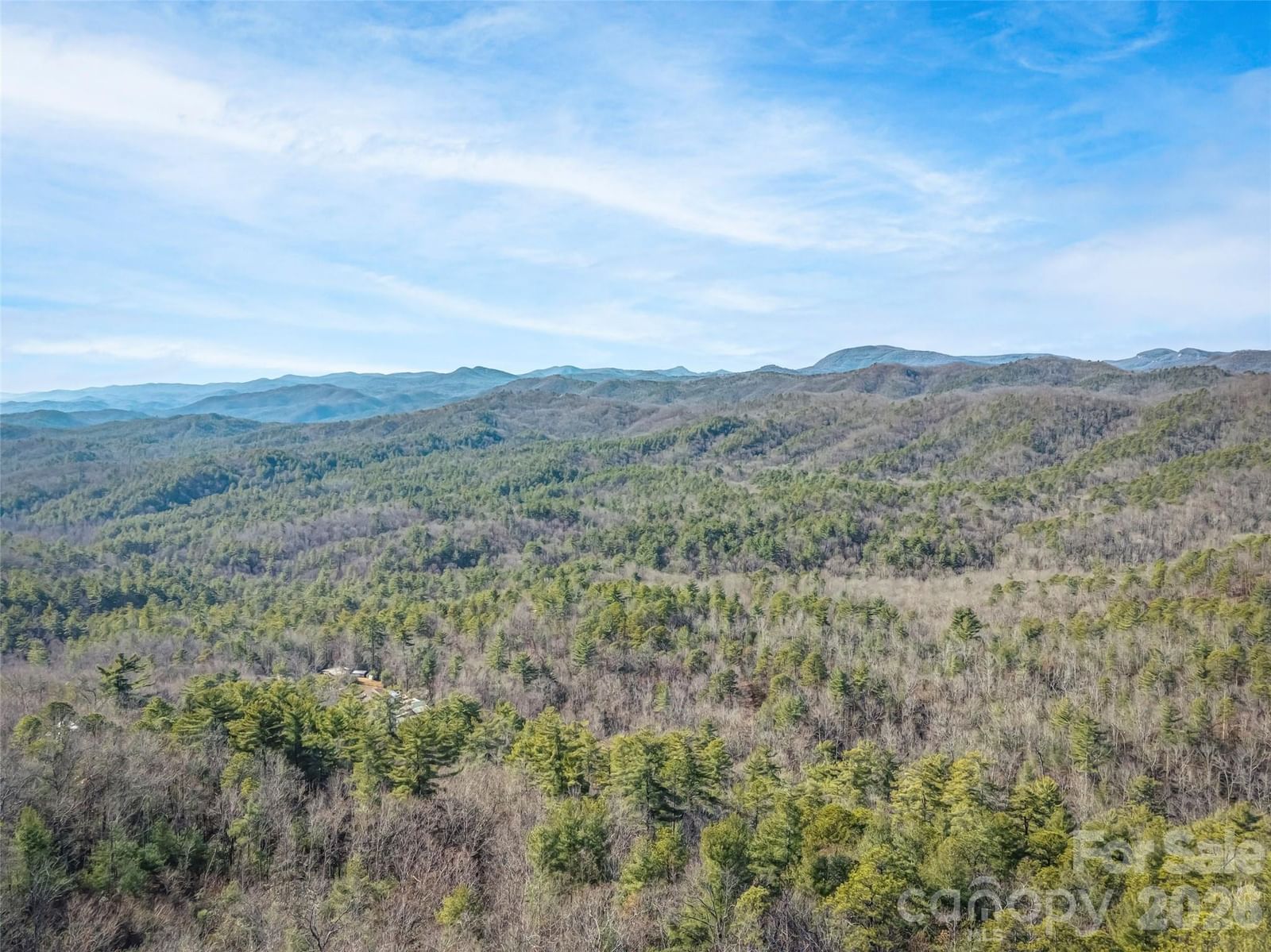 101 Ruffed Grouse Road, Brevard, NC 28712 - Photo 4