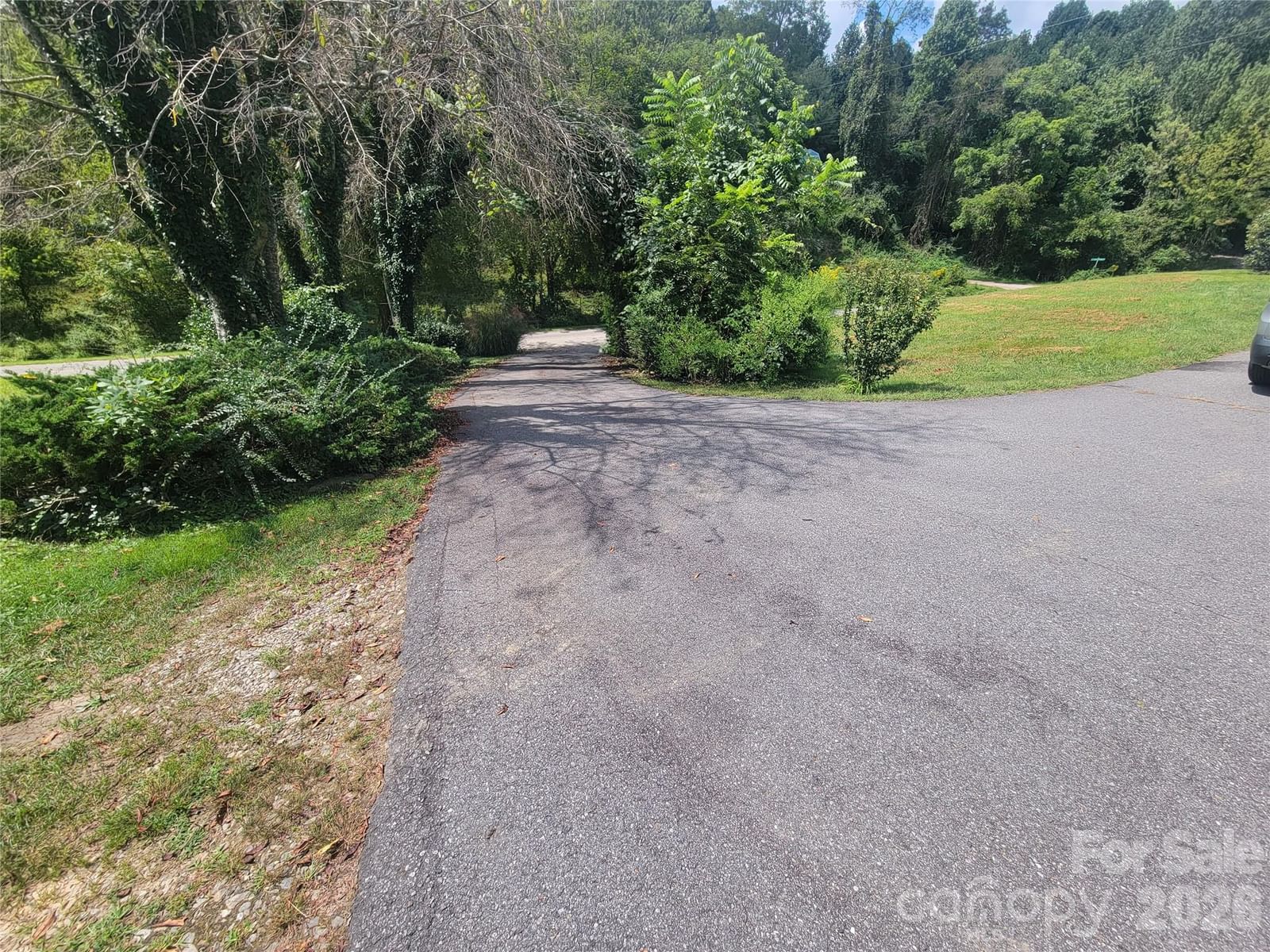 204 Kudzu Loop, Waynesville, NC 28786 - Photo 5