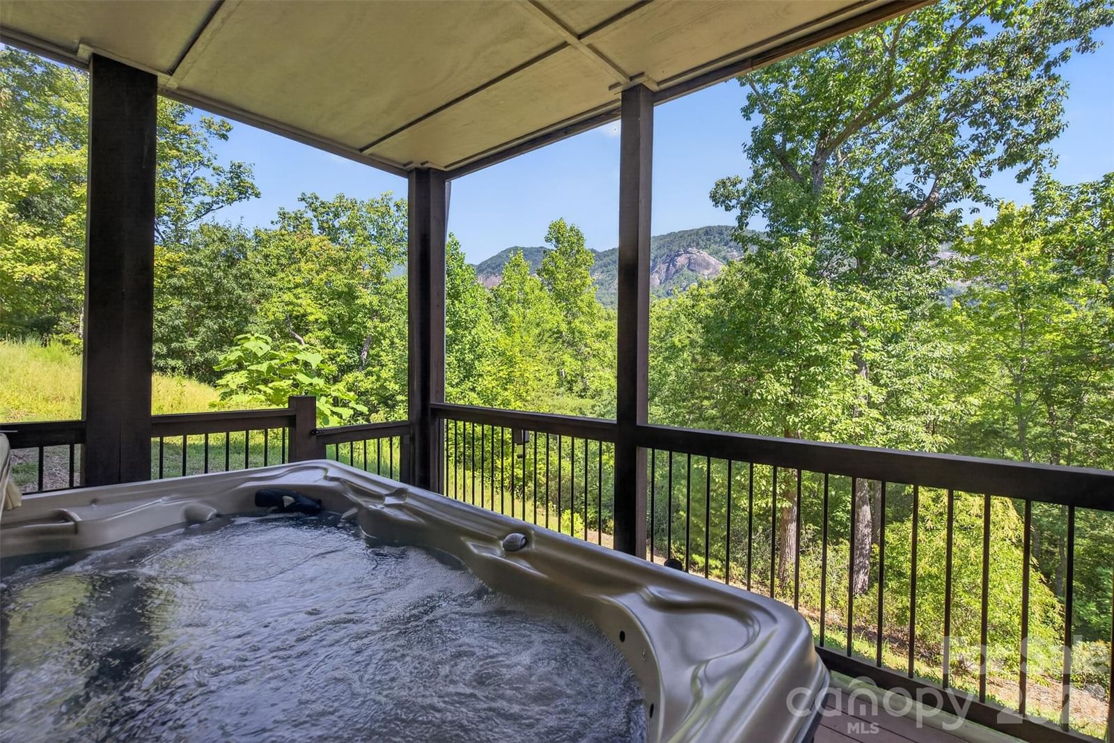 343 Garden Lane, Lake Lure, NC 28746 - Photo 5