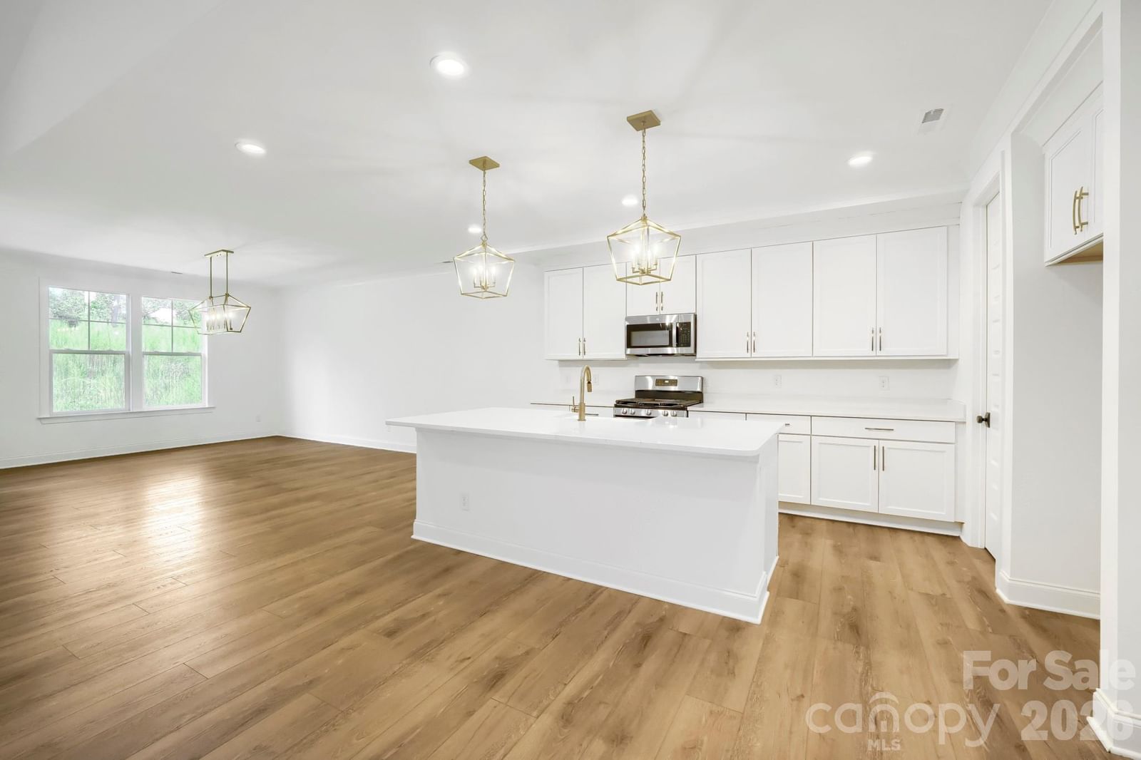 3204 Timber Run Lane, Maiden, NC 28650 - Photo 4
