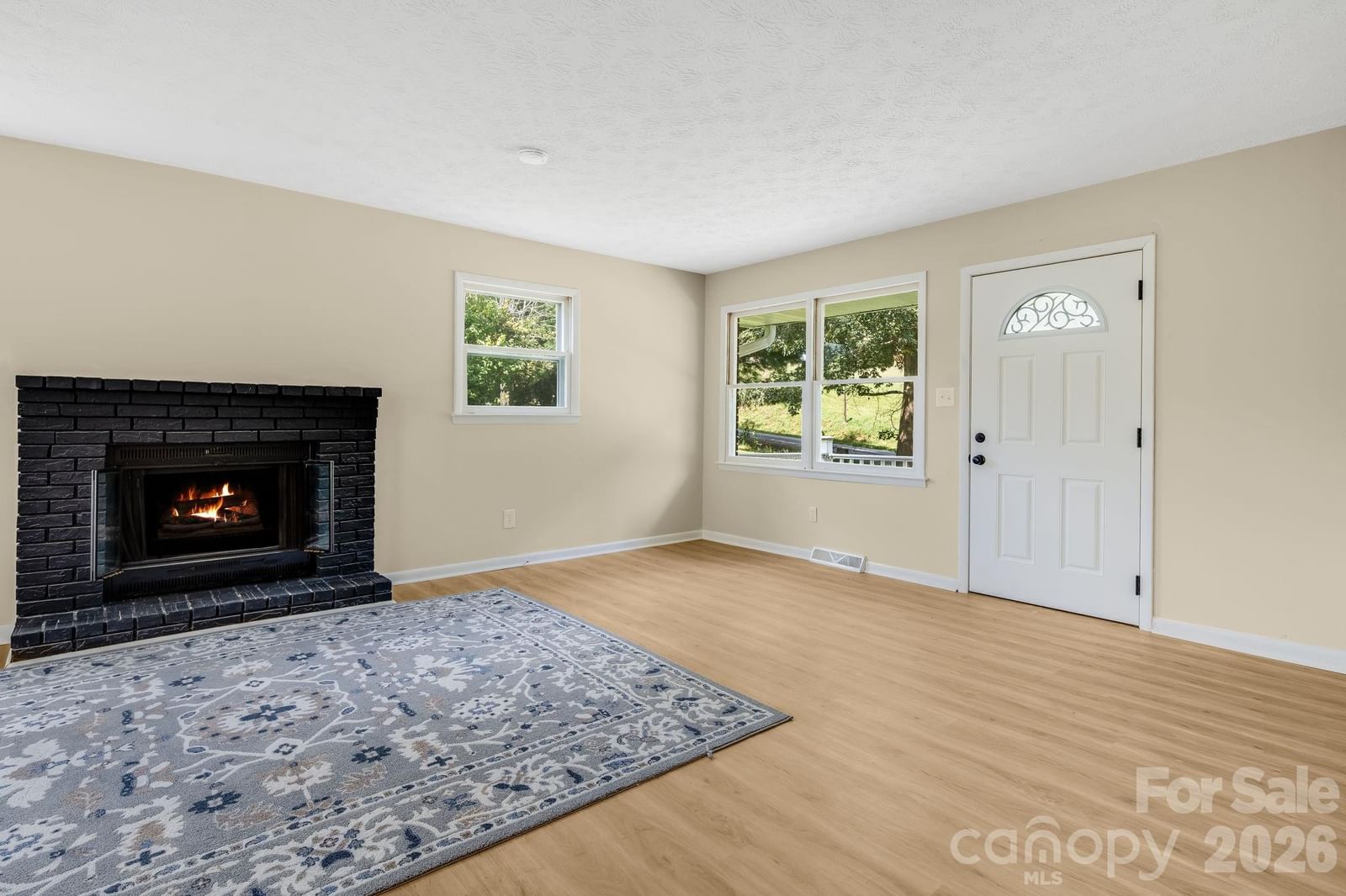 15 Old Youngs Cove Road, Candler, NC 28715 - Photo 5