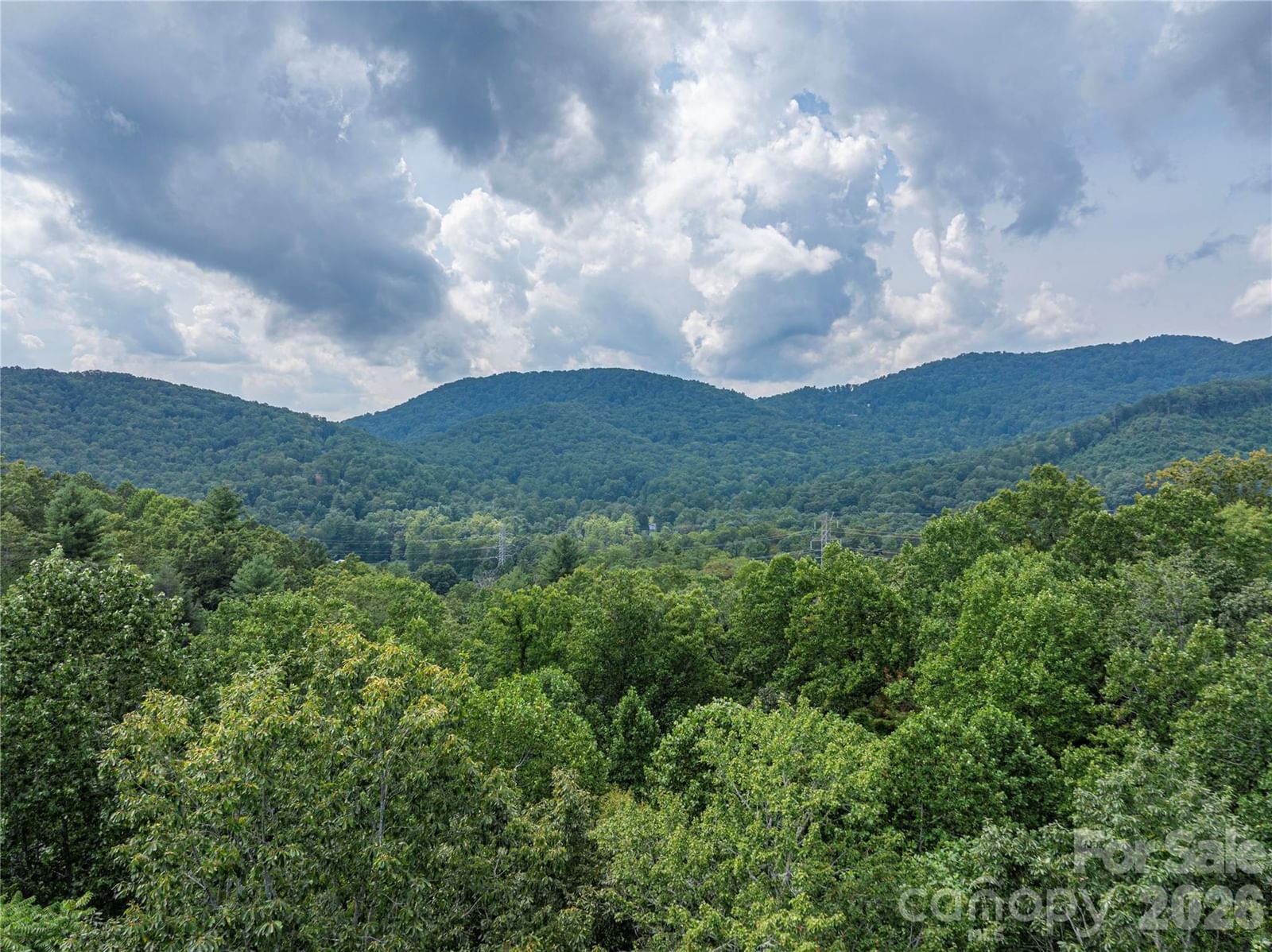 116 Ivy Road, Mills River, NC 28759 - Photo 3