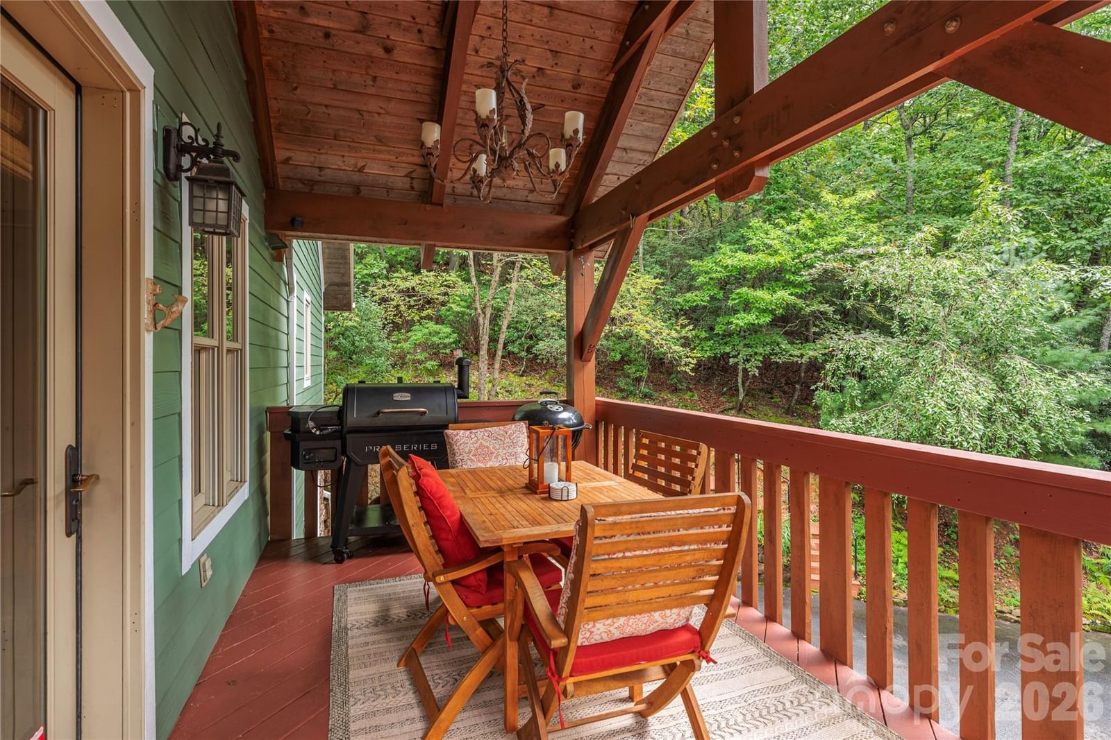 116 Ivy Road, Mills River, NC 28759 - Photo 4