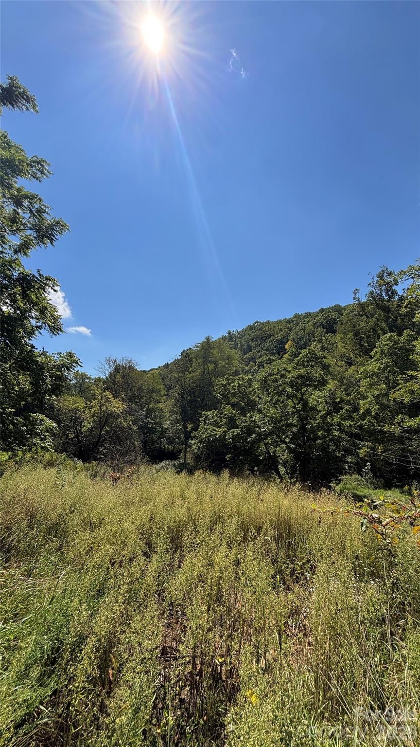 188 Velvis Hollifield Road, Spruce Pine, NC 28777 - Photo 2