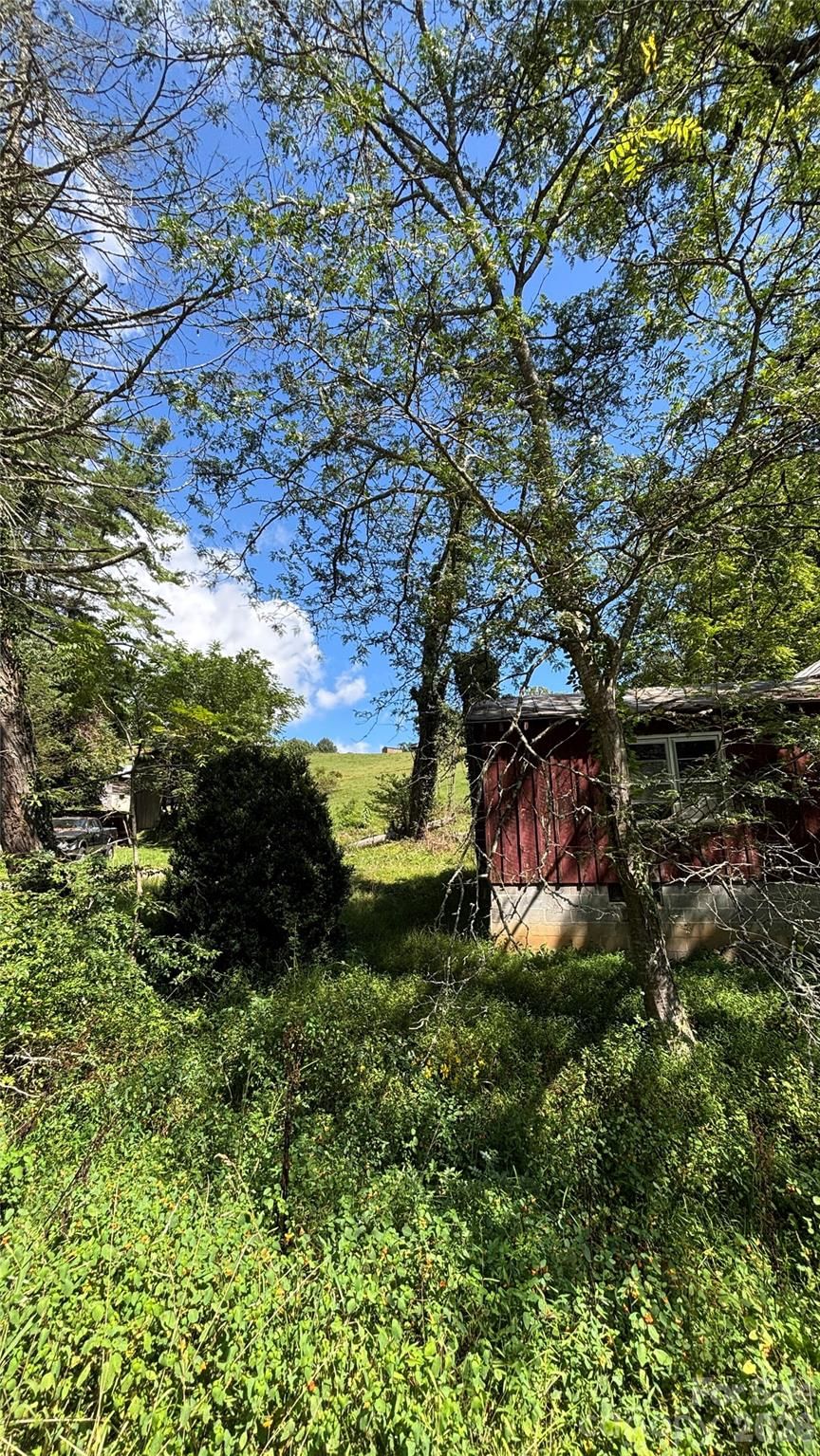 188 Velvis Hollifield Road, Spruce Pine, NC 28777 - Photo 4