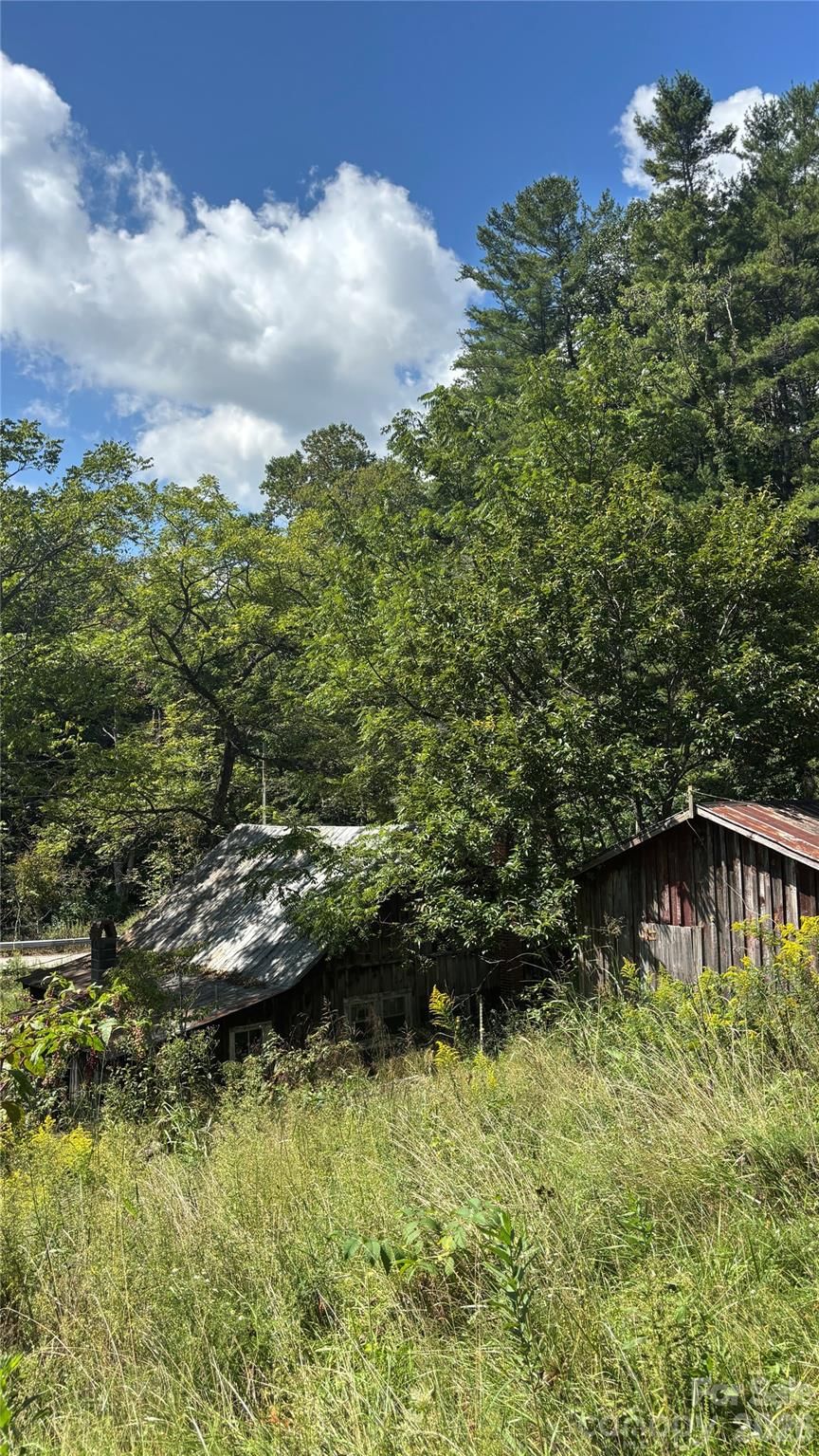 188 Velvis Hollifield Road, Spruce Pine, NC 28777 - Photo 5